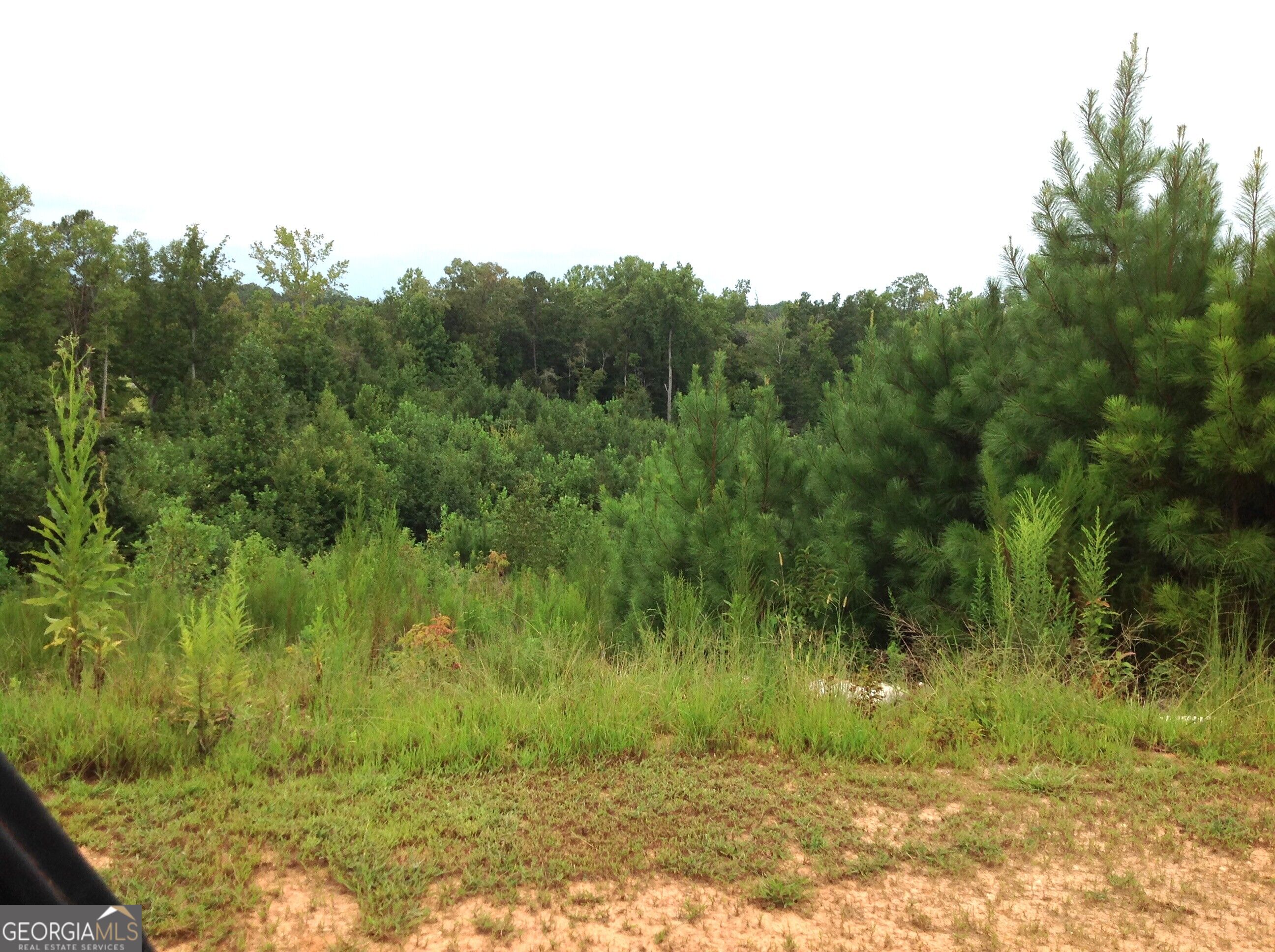 0 Co Rd 49 Property Photo 9