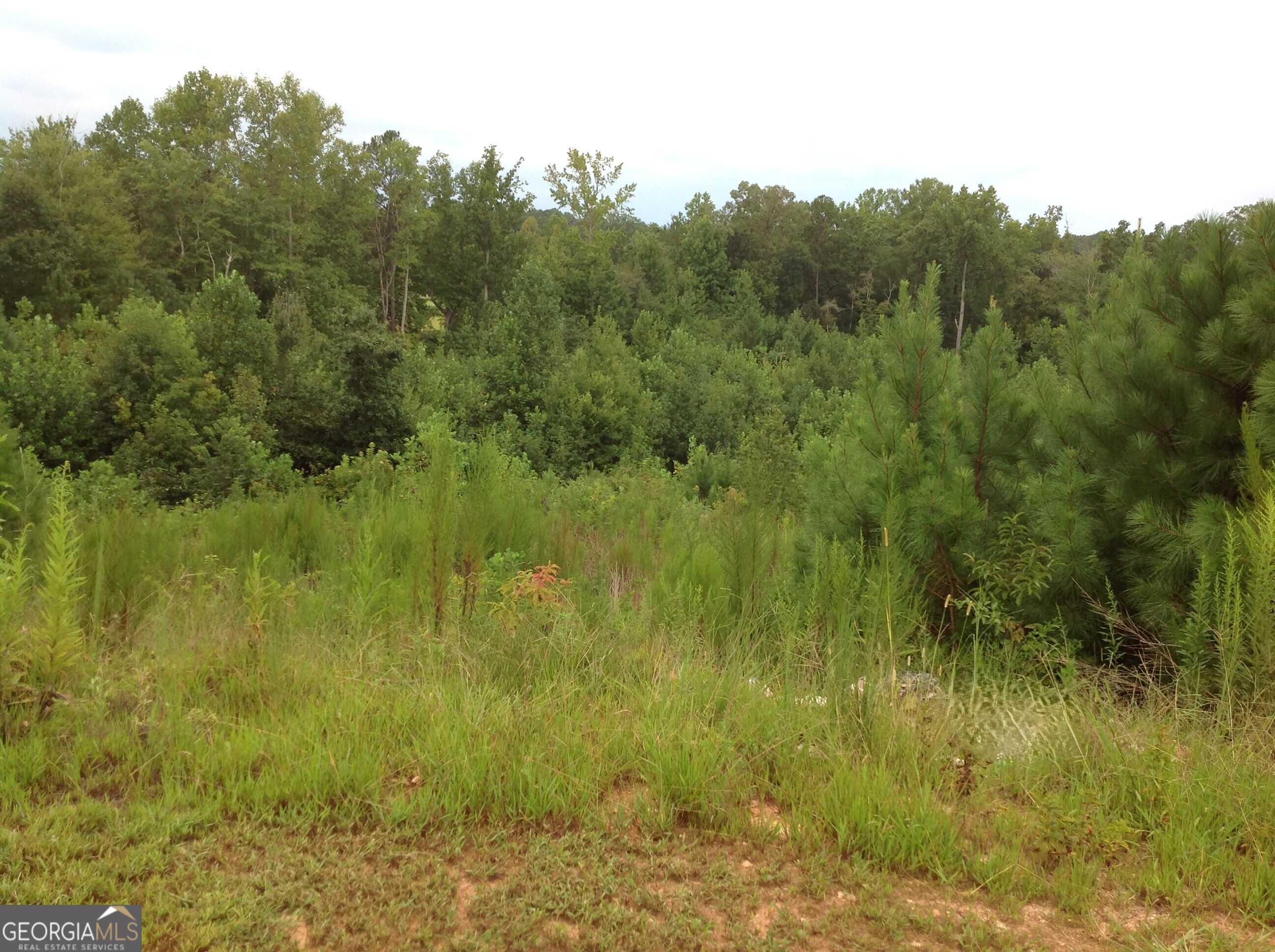 0 Co Rd 49 Property Photo 11