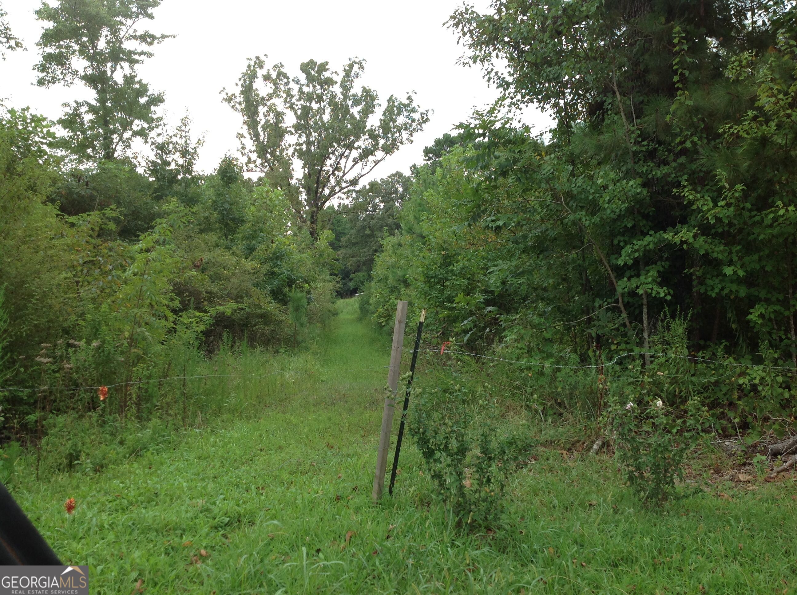 0 Co Rd 49 Property Photo 12