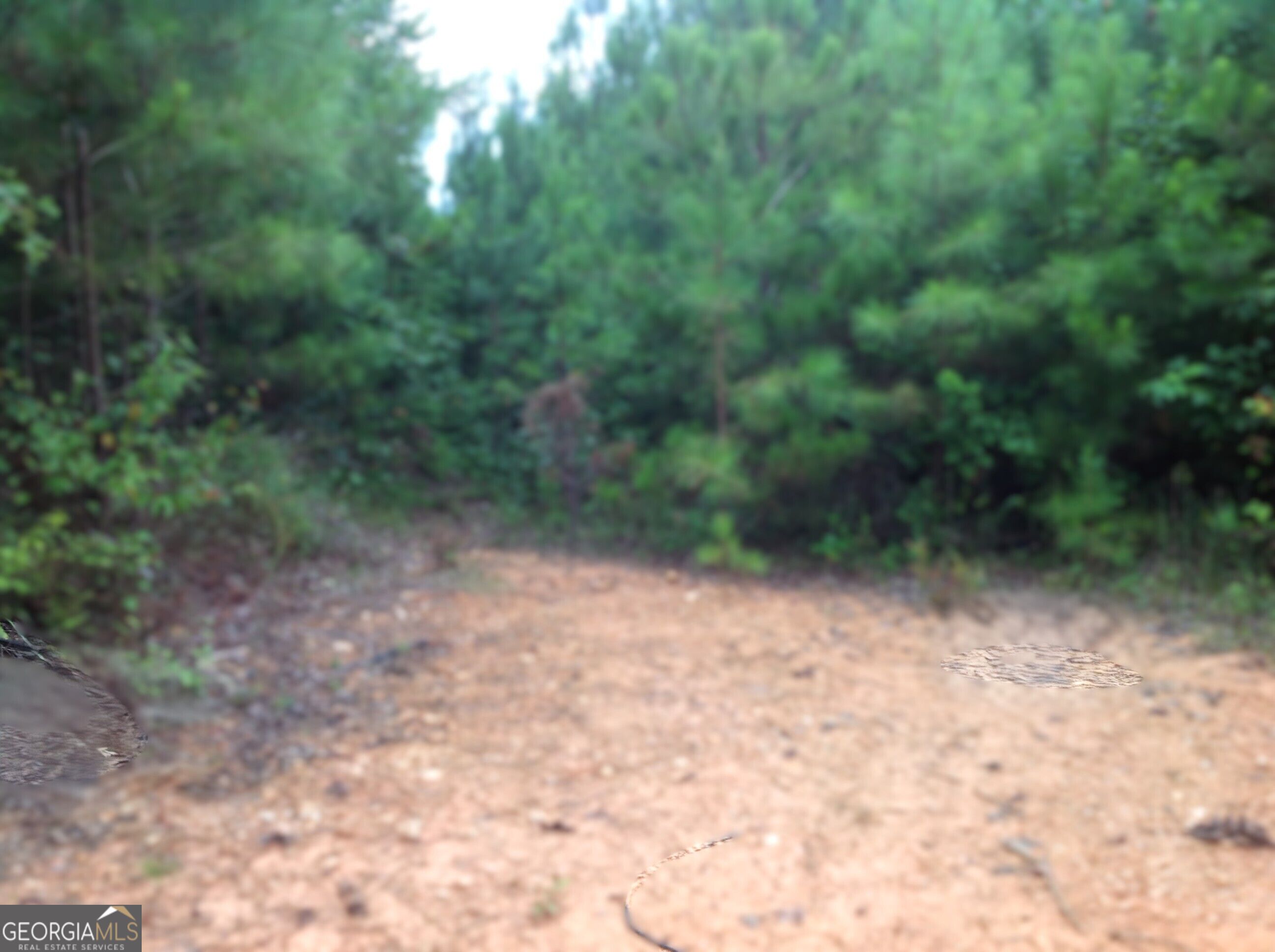 0 Co Rd 49 Property Photo 13