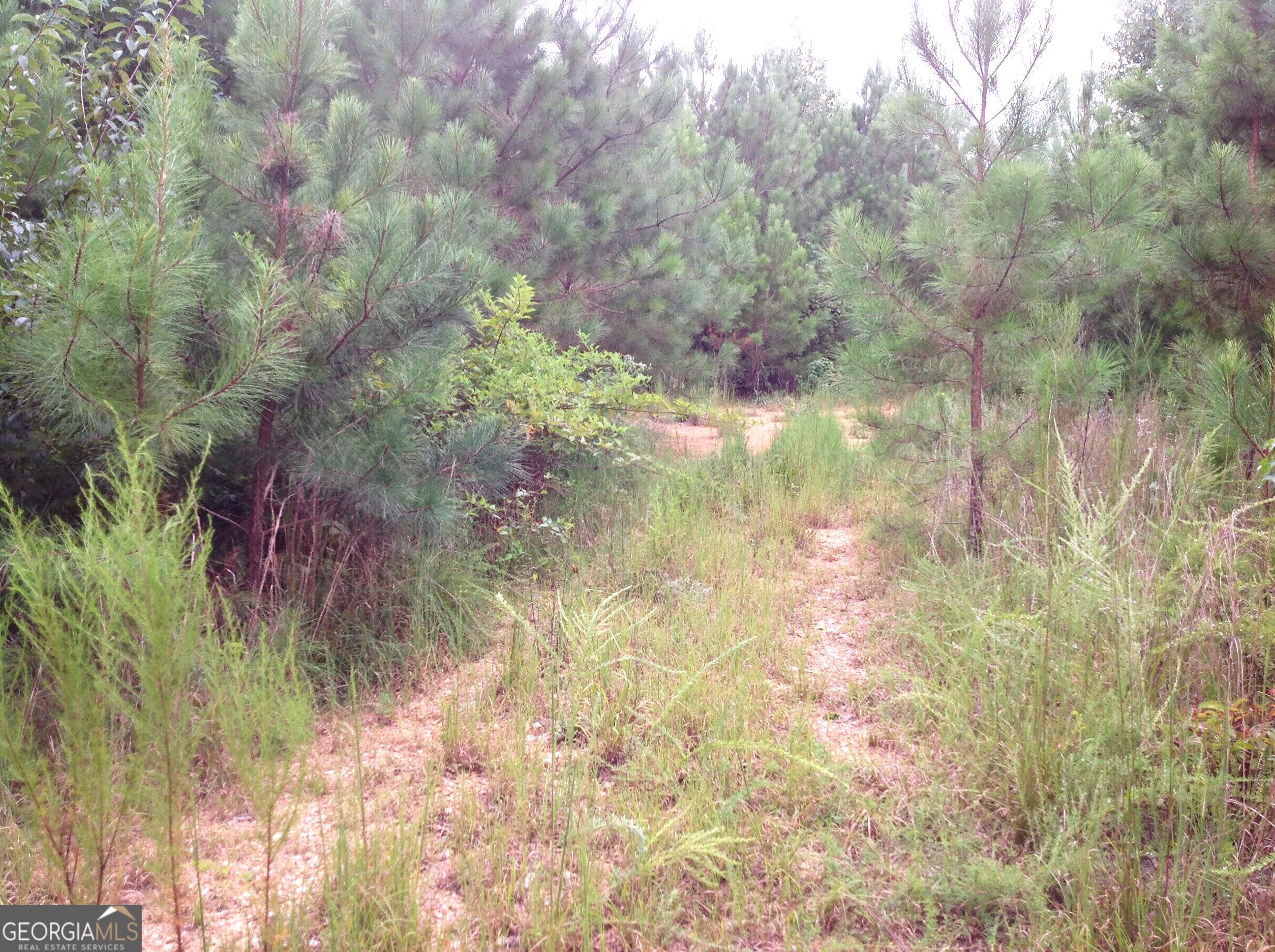 0 Co Rd 49 Property Photo 14
