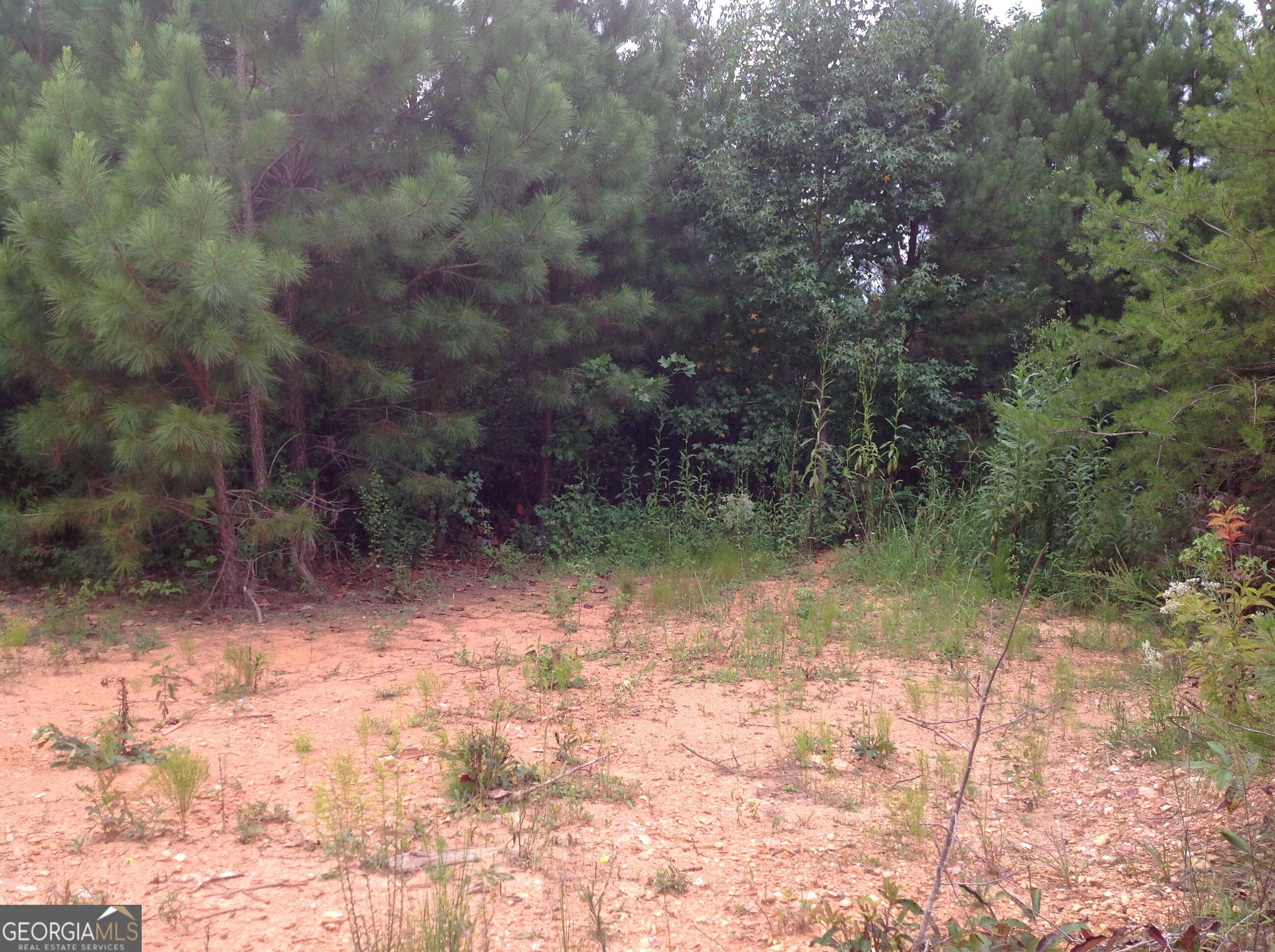 0 Co Rd 49 Property Photo 15