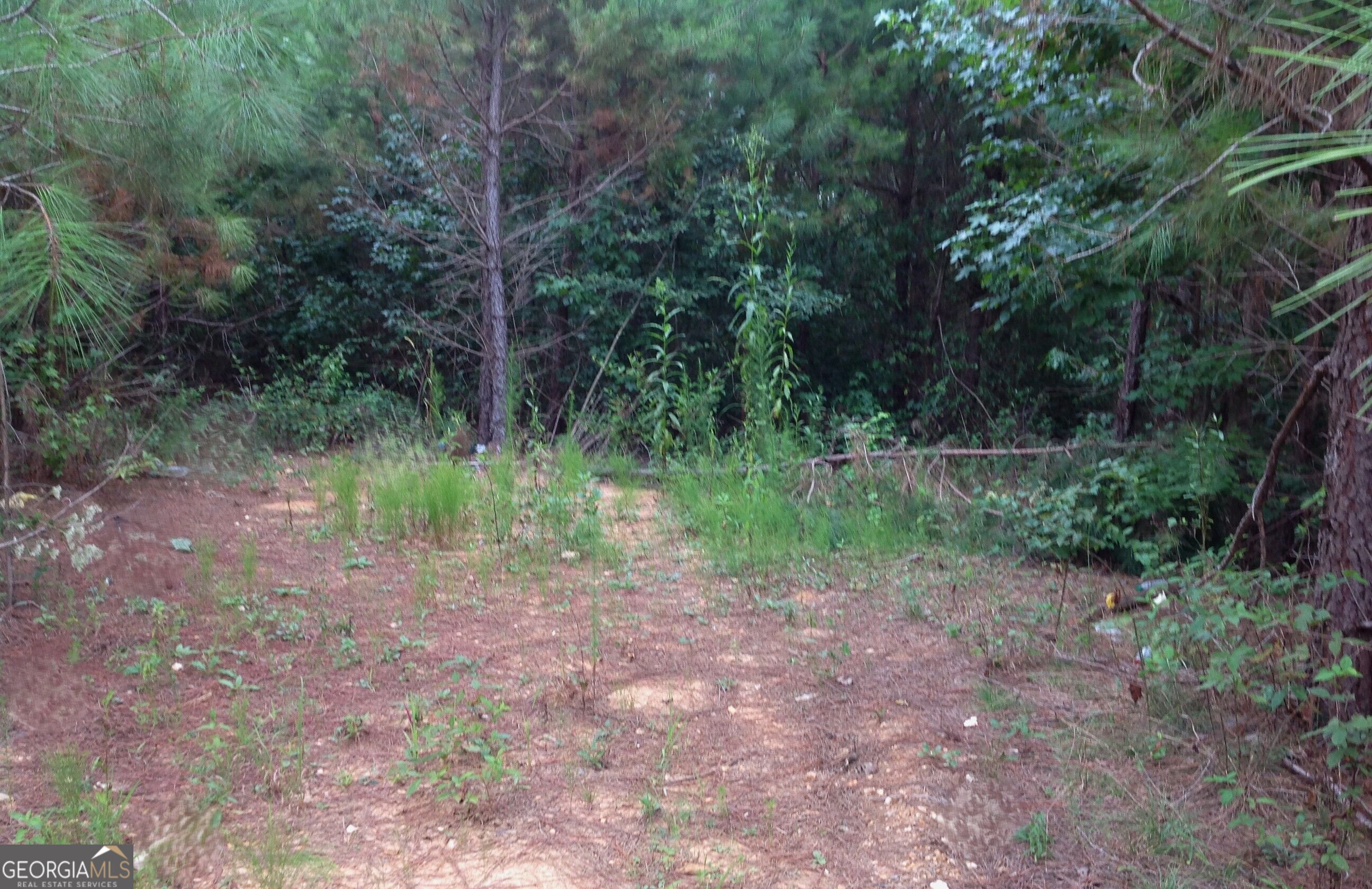 0 Co Rd 49 Property Photo 16