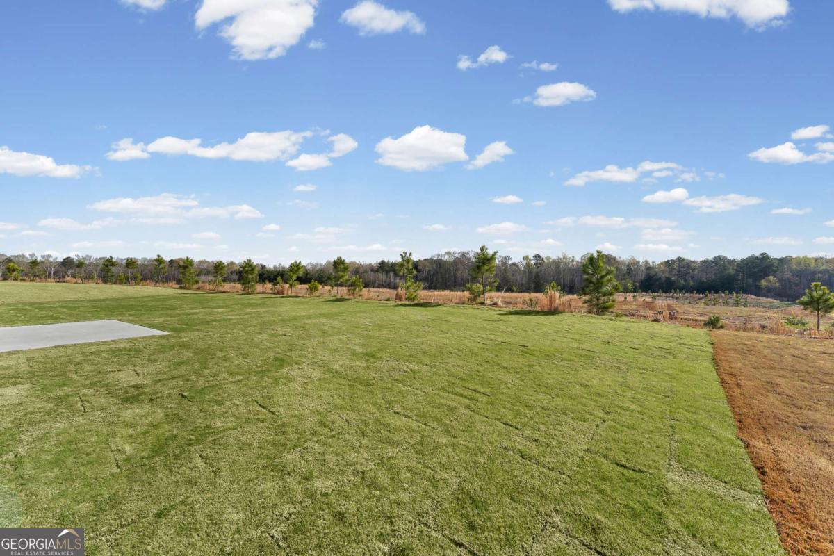 293 Nesta Grove Drive Property Photo 31
