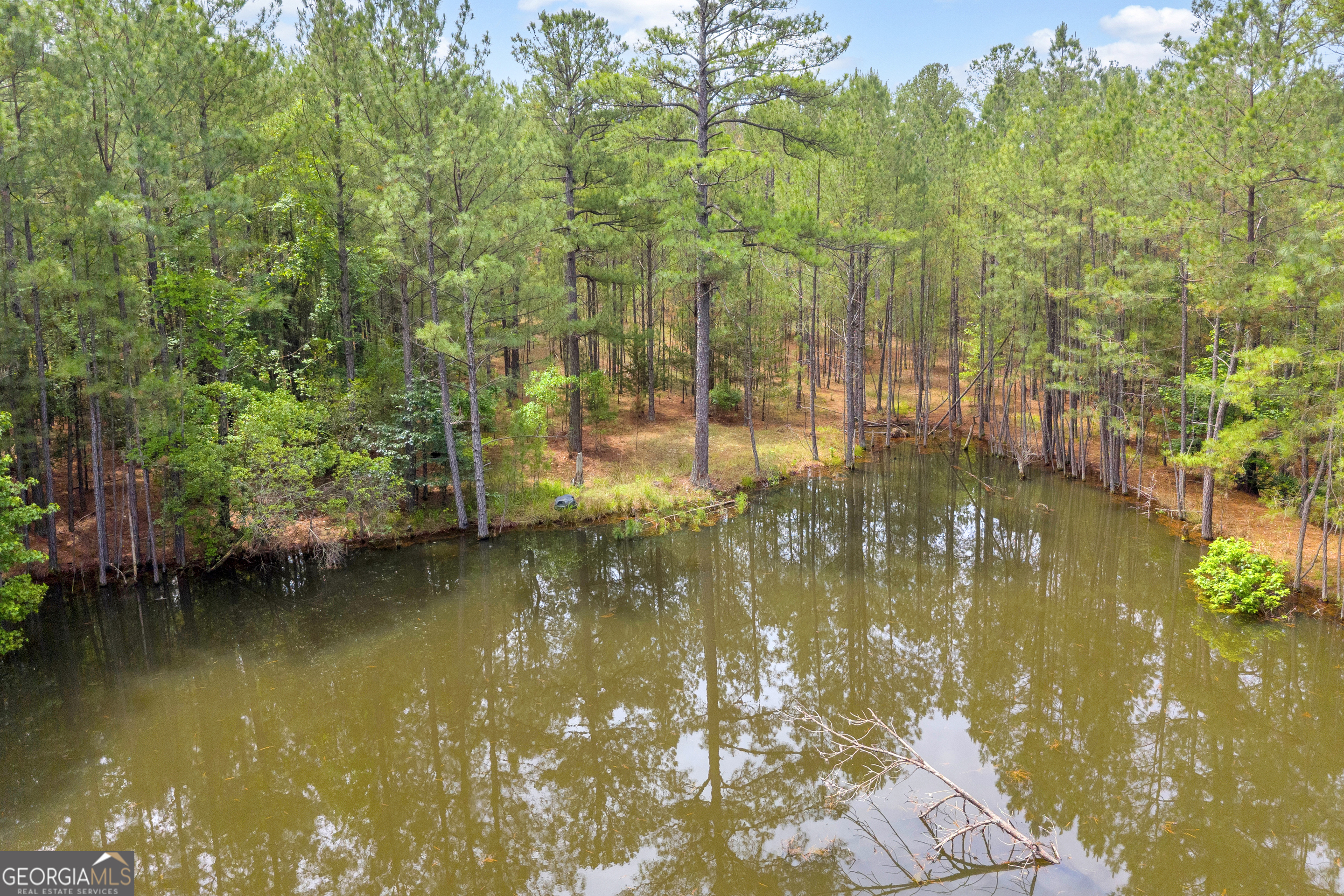 0 Clary Crossroad Property Photo 10