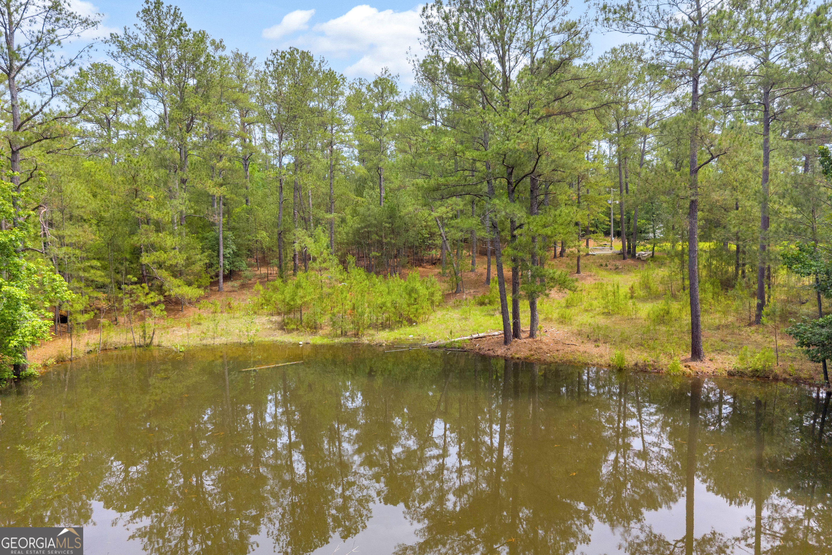 0 Clary Crossroad Property Photo 11