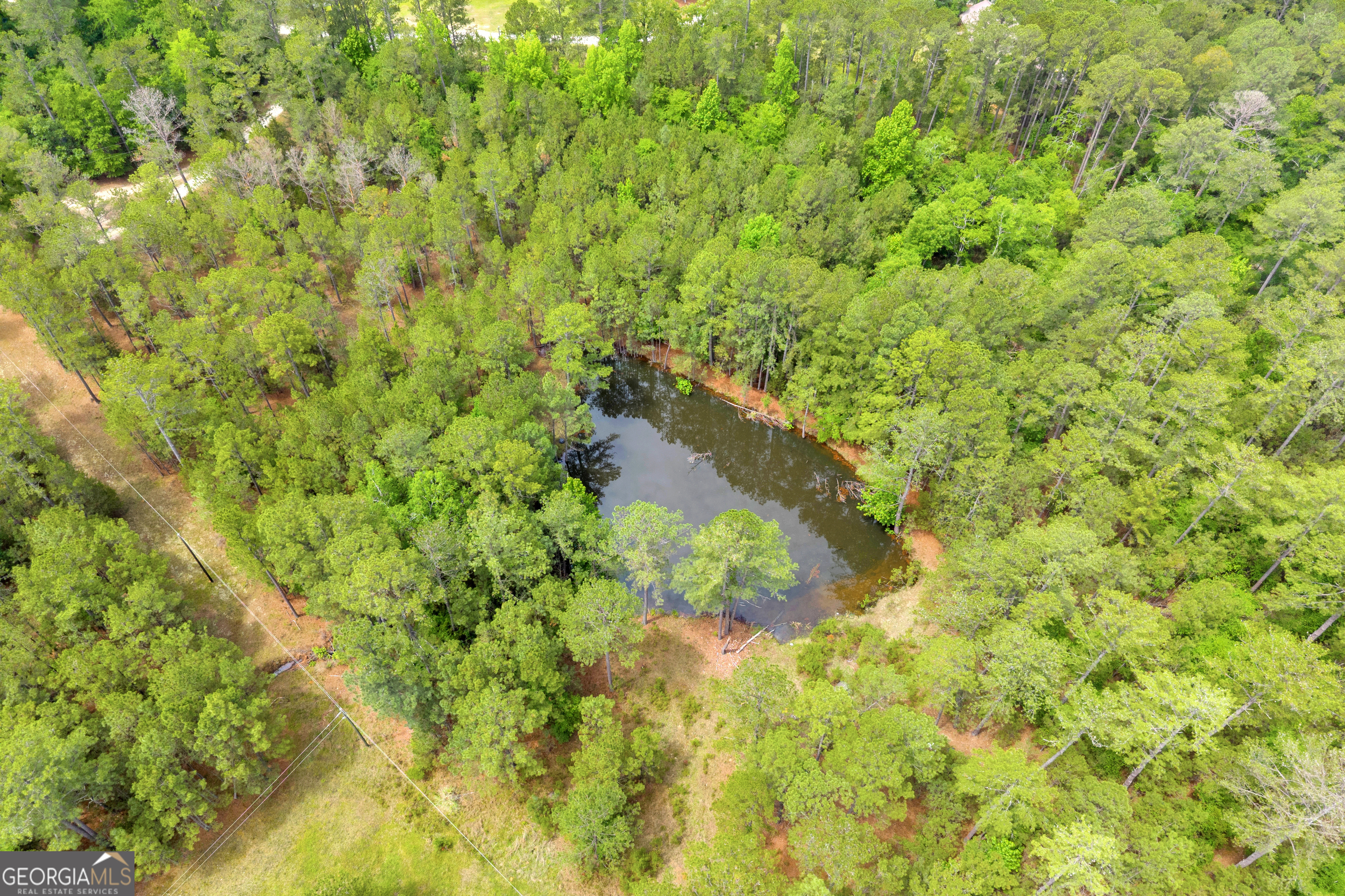 0 Clary Crossroad Property Photo 12
