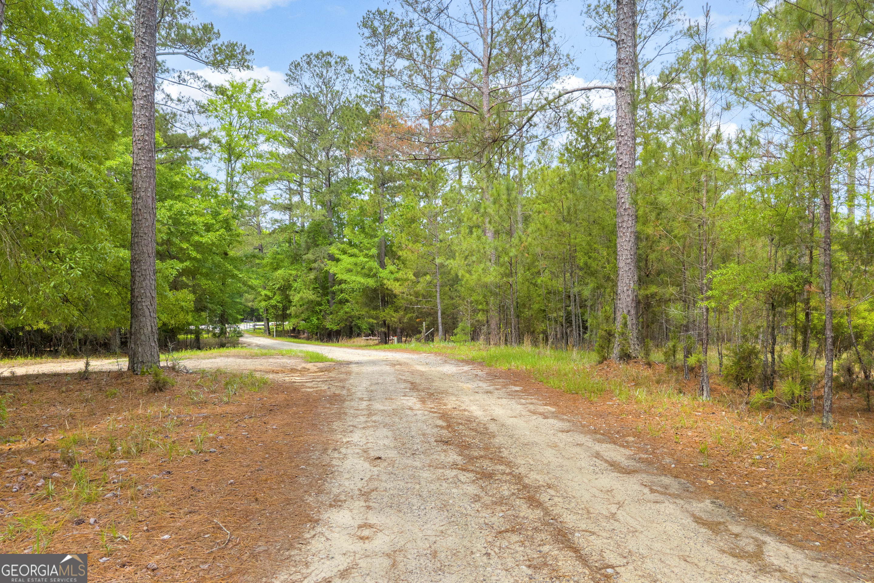 0 Clary Crossroad Property Photo 14