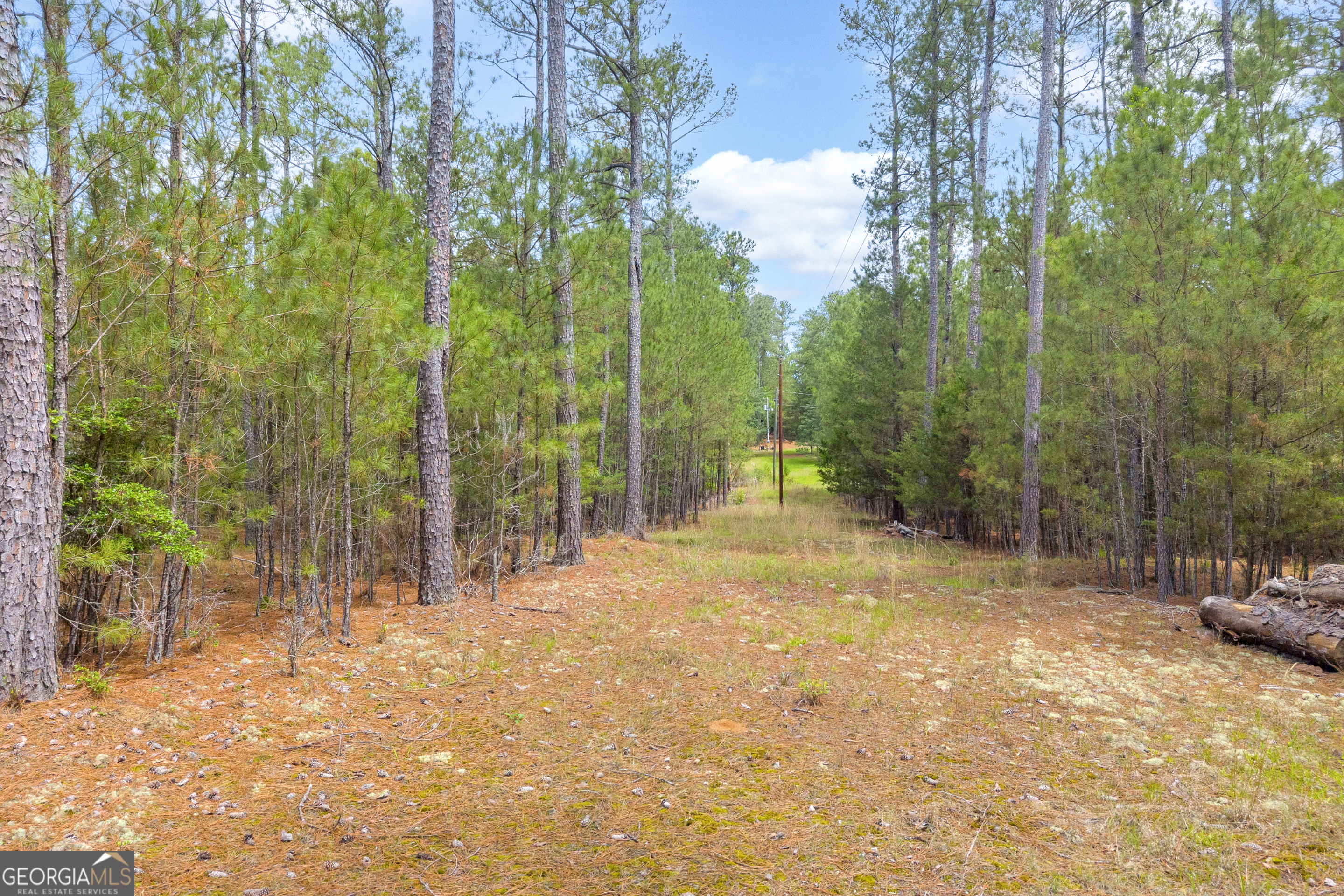 0 Clary Crossroad Property Photo 15