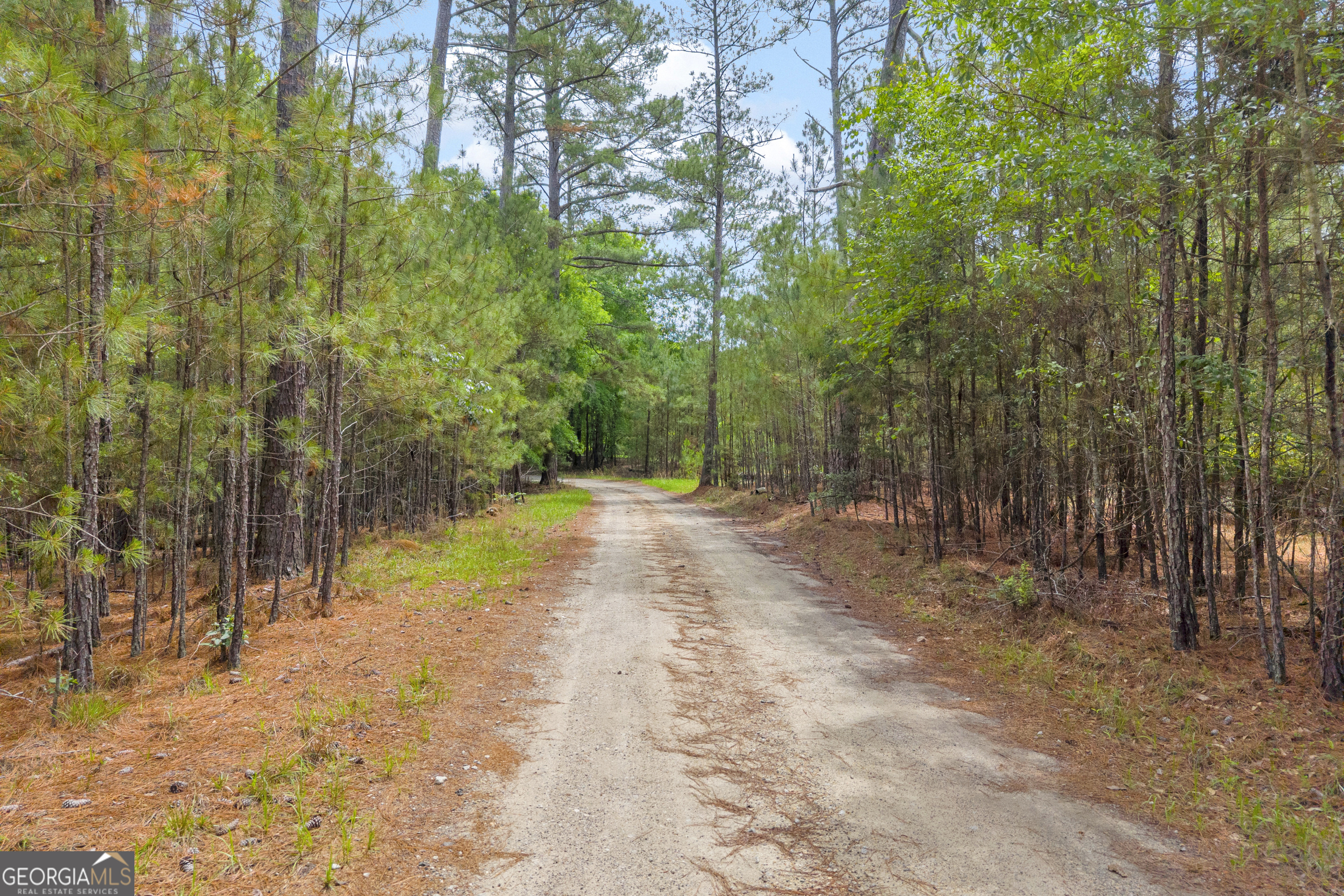 0 Clary Crossroad Property Photo 16
