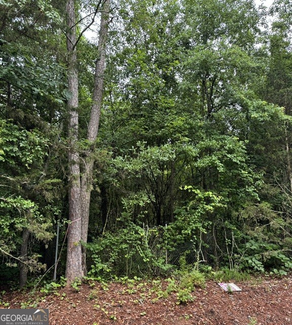 0 Lewis Drive LOT 20 Property Photo 1