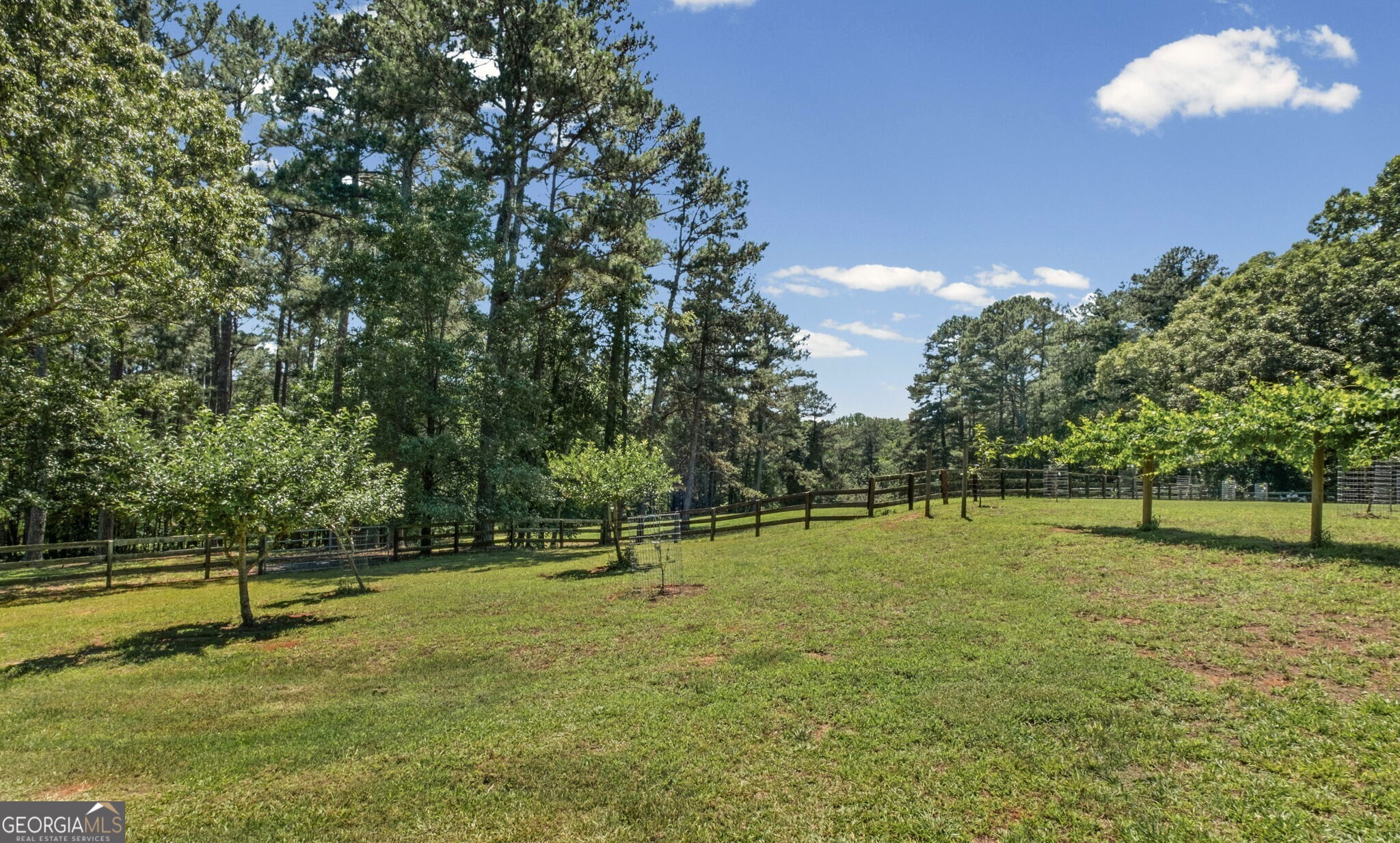 253 Charles Road Property Photo 15