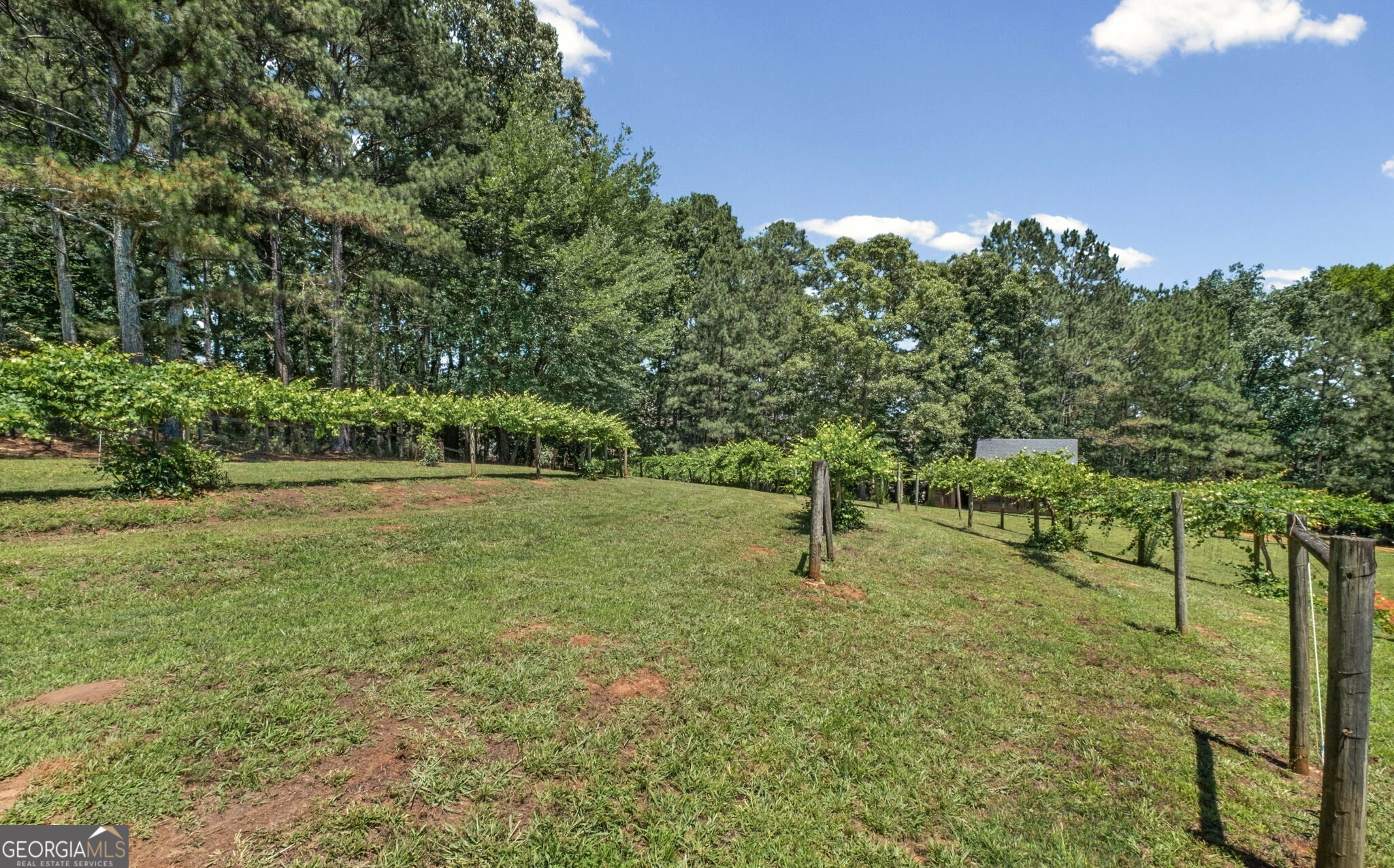 253 Charles Road Property Photo 17