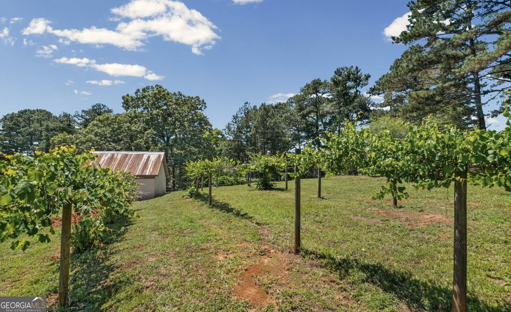 253 Charles Road Property Photo 80