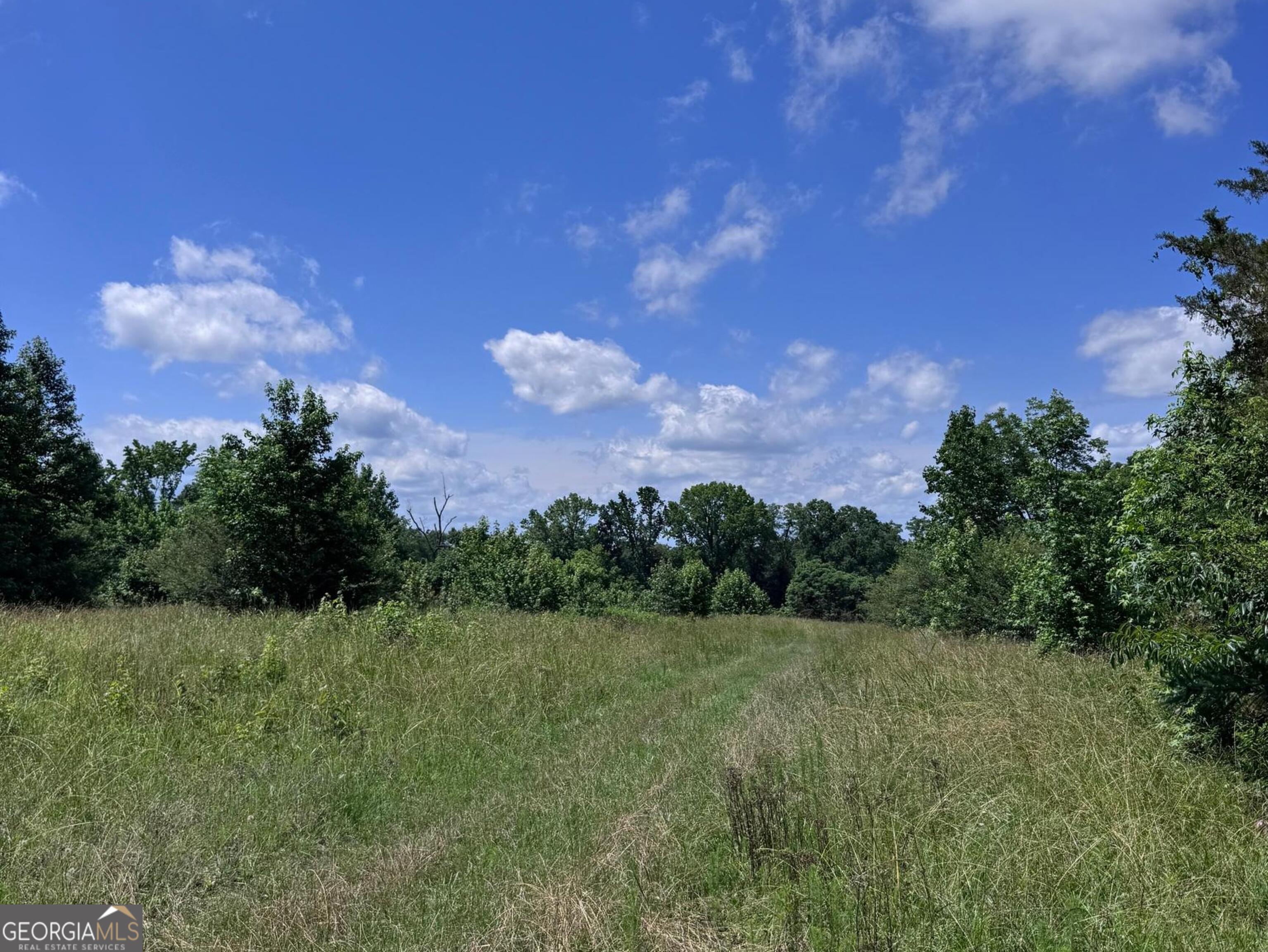 427 Dripping Rock Road Property Photo 8