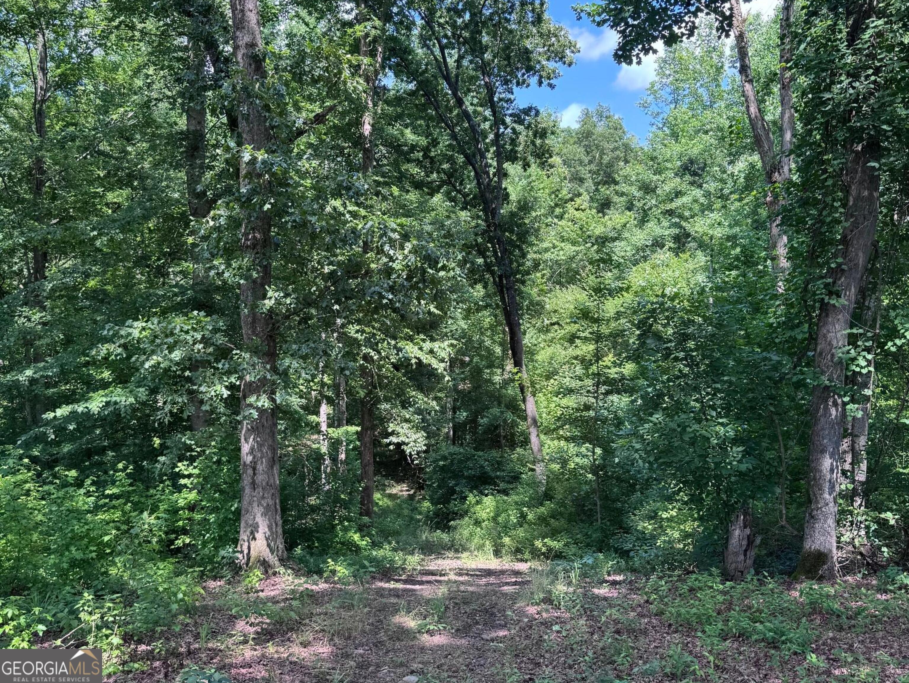427 Dripping Rock Road Property Photo 14