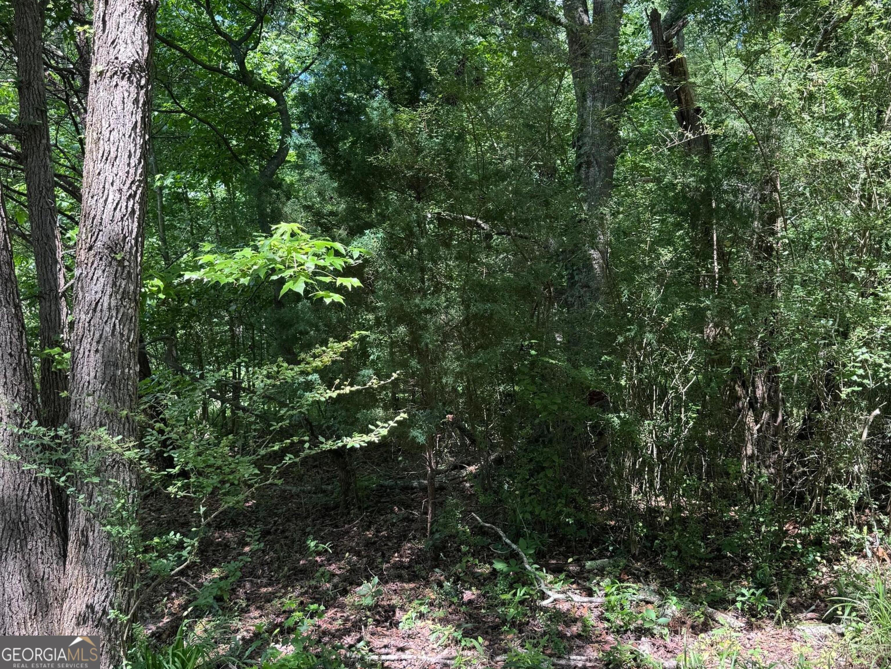427 Dripping Rock Road Property Photo 15