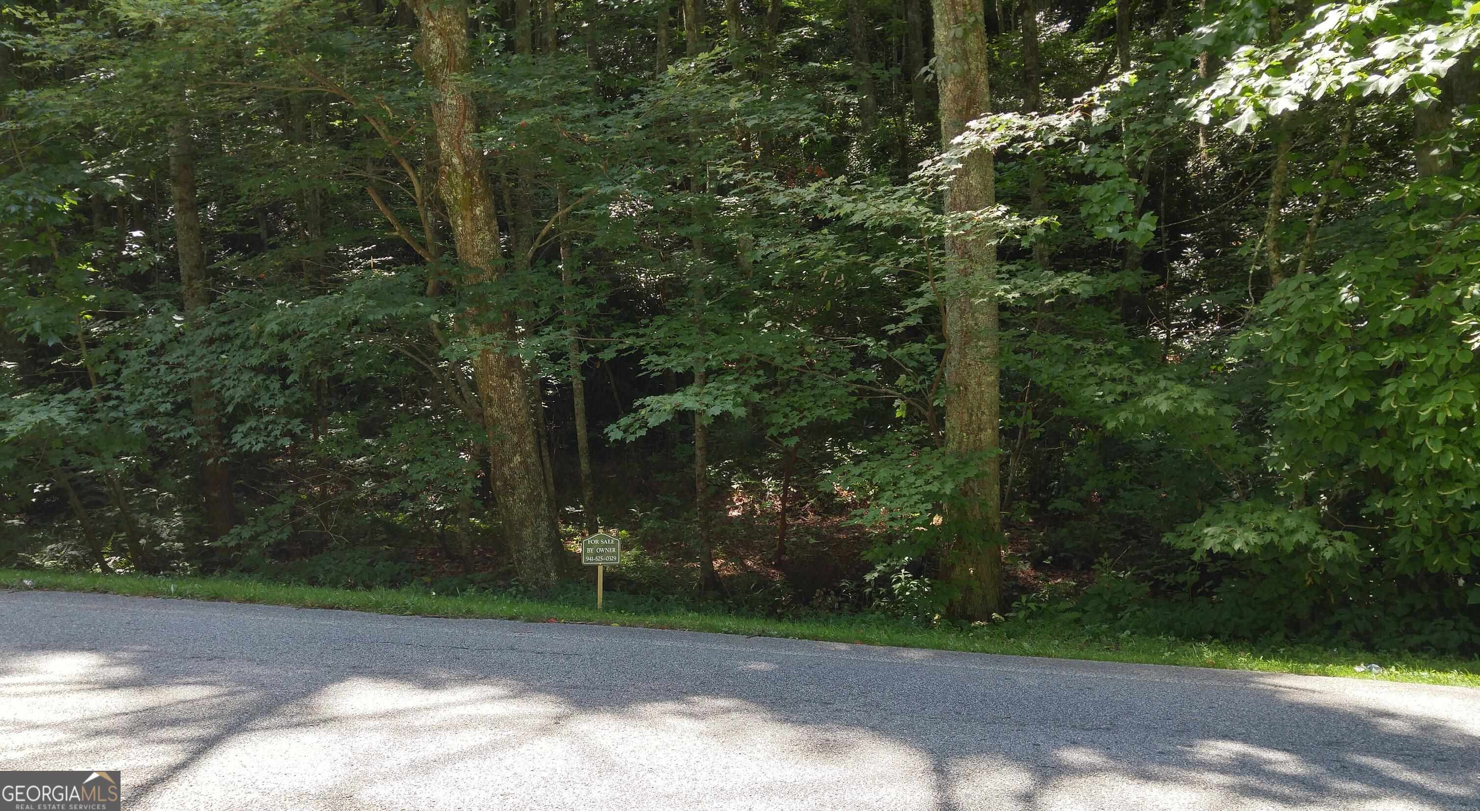 0 Lot 8 Bald Mountain Road Lot 8 Property Photo 4