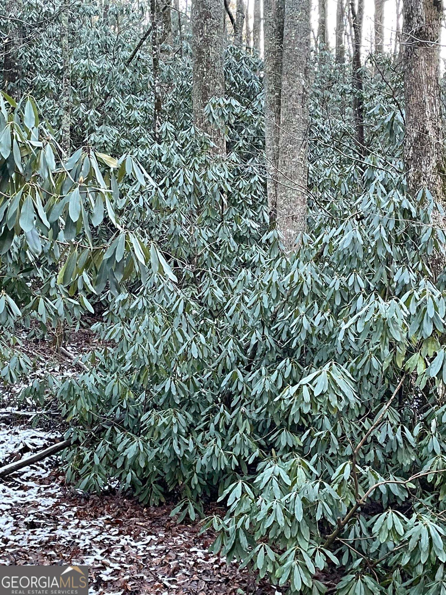 0 Lot 8 Bald Mountain Road Lot 8 Property Photo 5