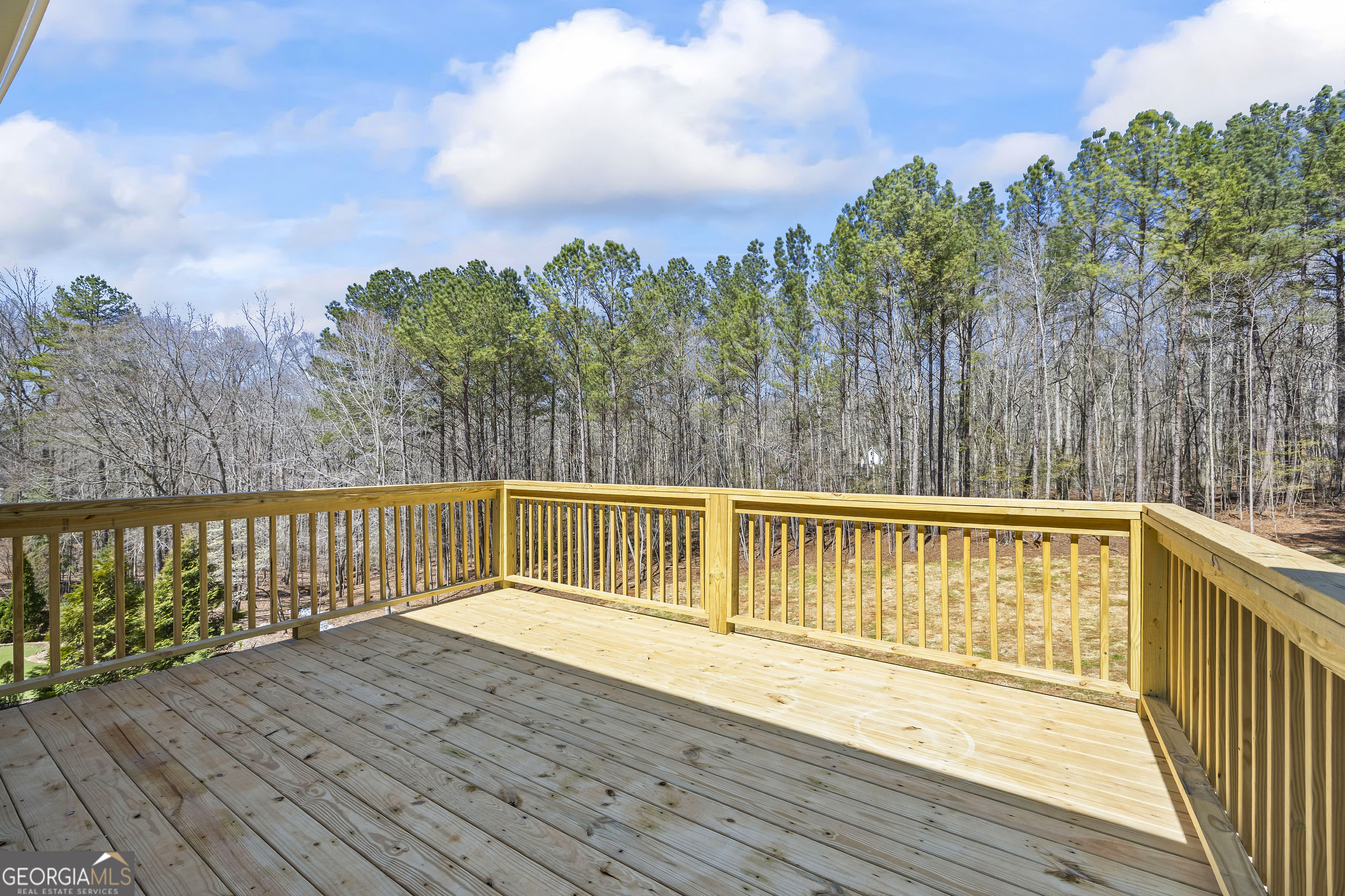 1229 Morgans Run Property Photo 43