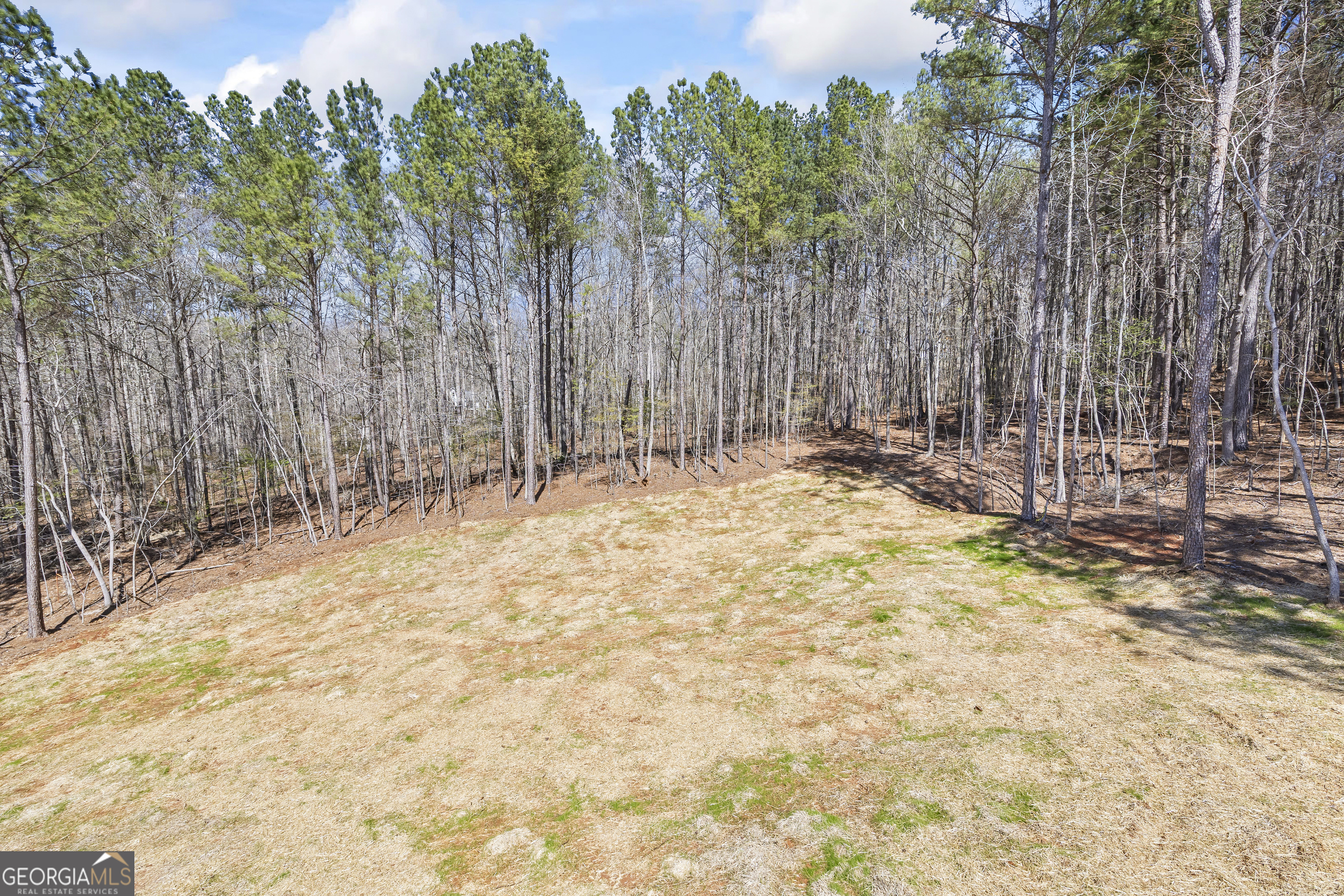 1229 Morgans Run Property Photo 44