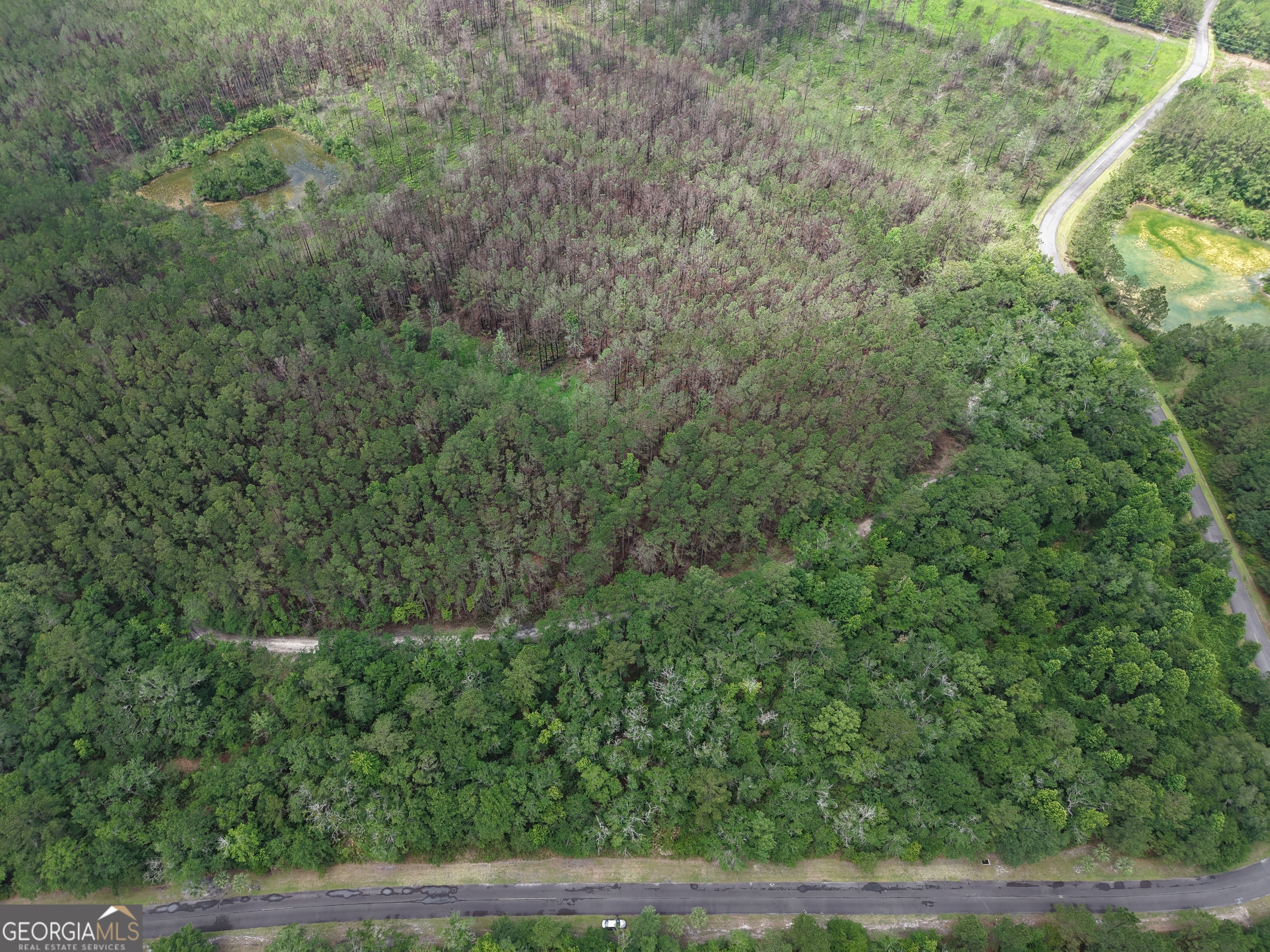 Lot 56 Waverly Lane Property Photo 6