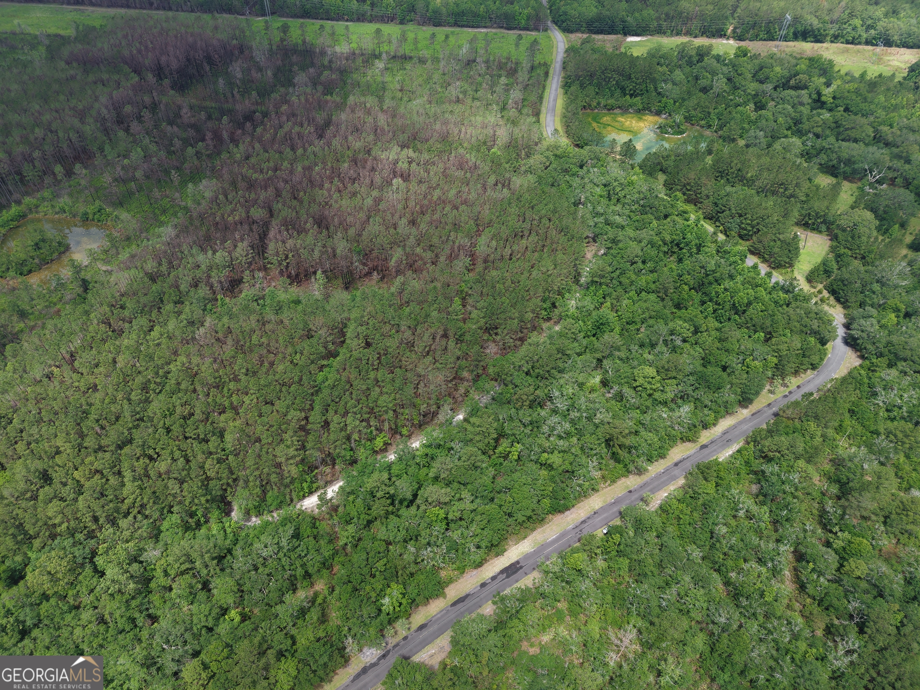 Lot 56 Waverly Lane Property Photo 10