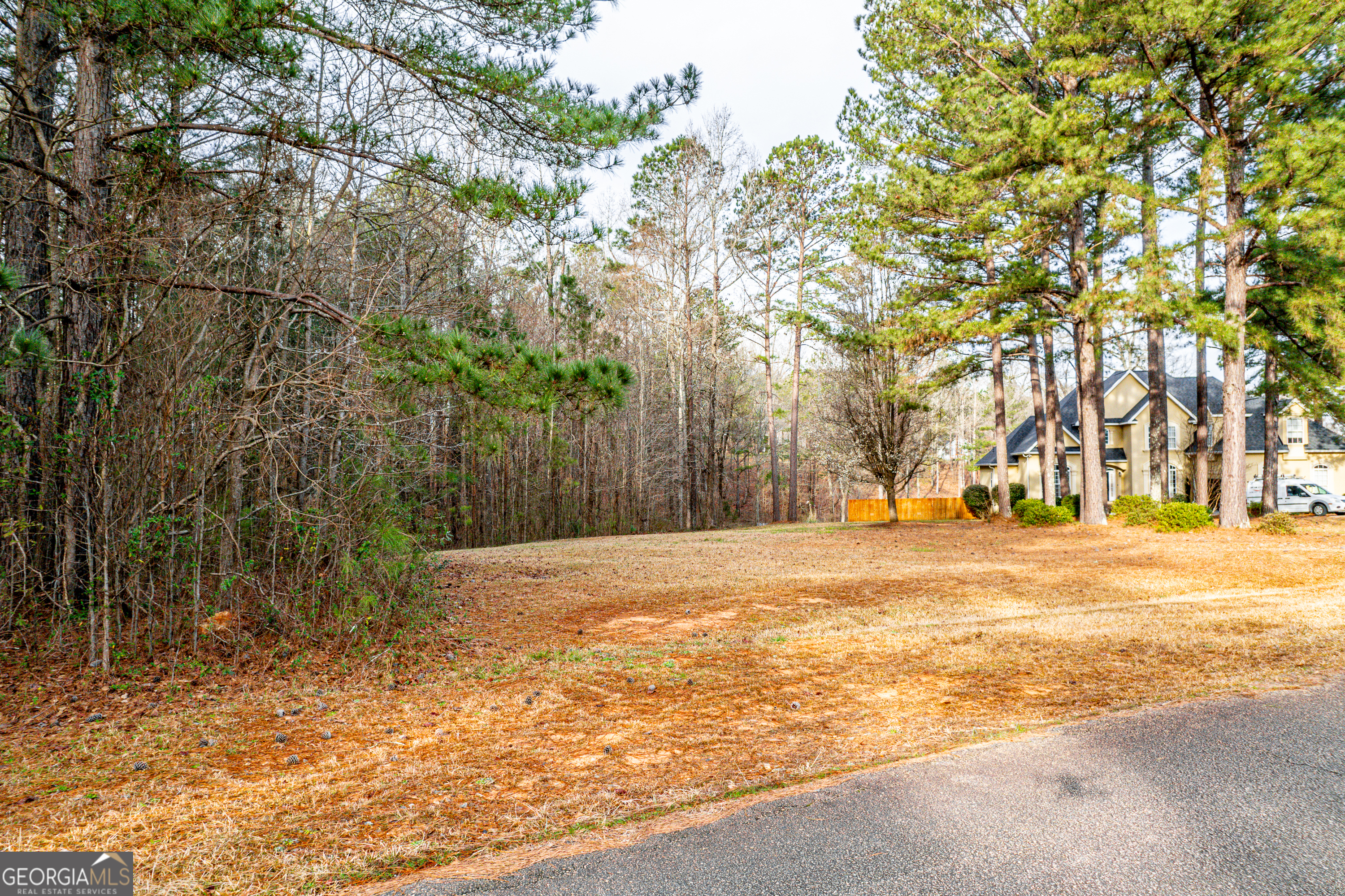 415 Darren Carson Lane Property Photo 1