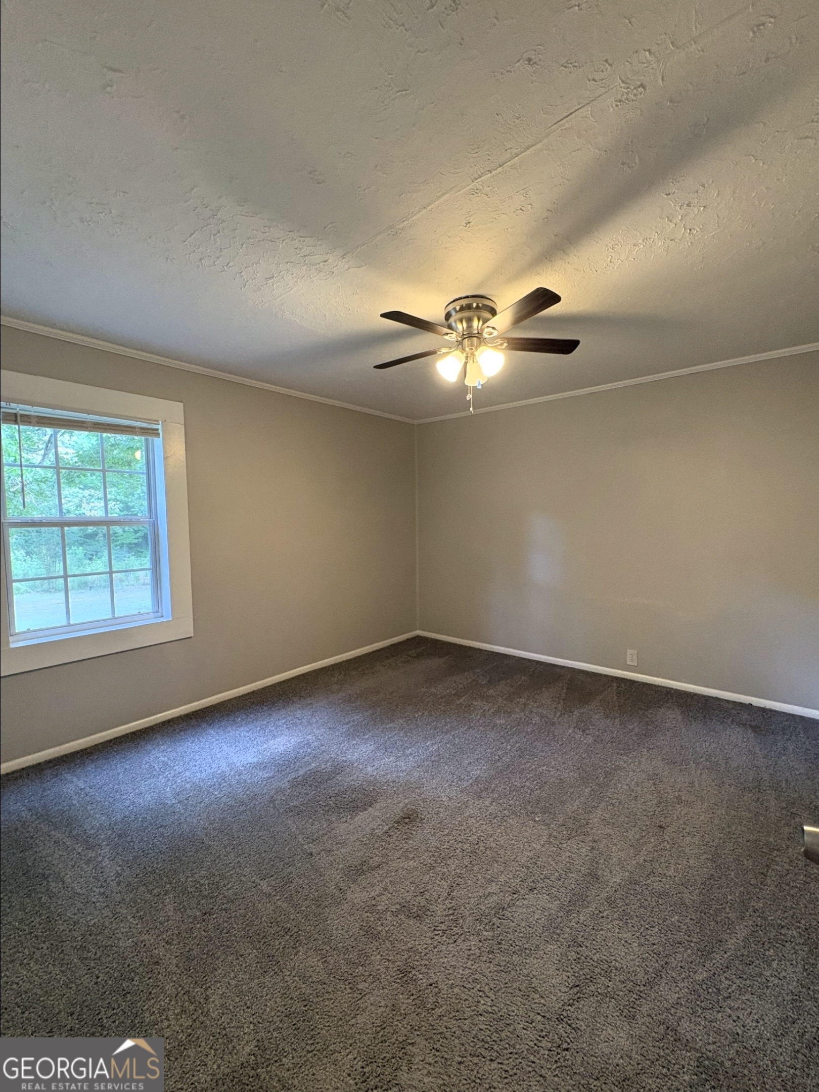 187 Dodgen Road Property Photo 8
