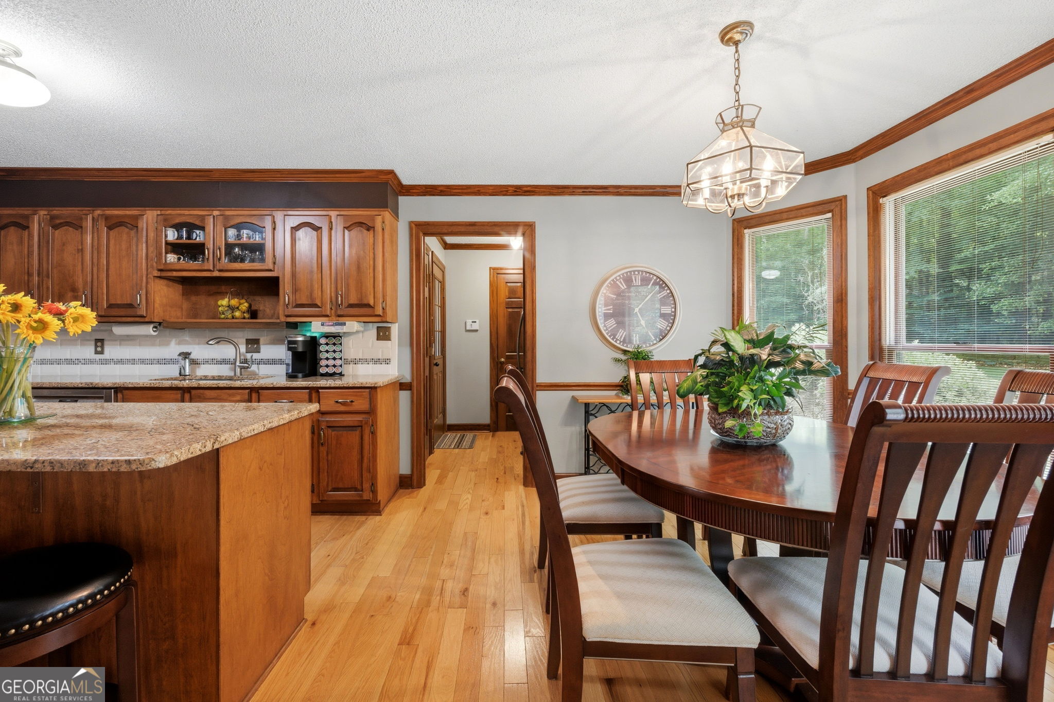 6233 Ga Highway 87 Property Photo 9