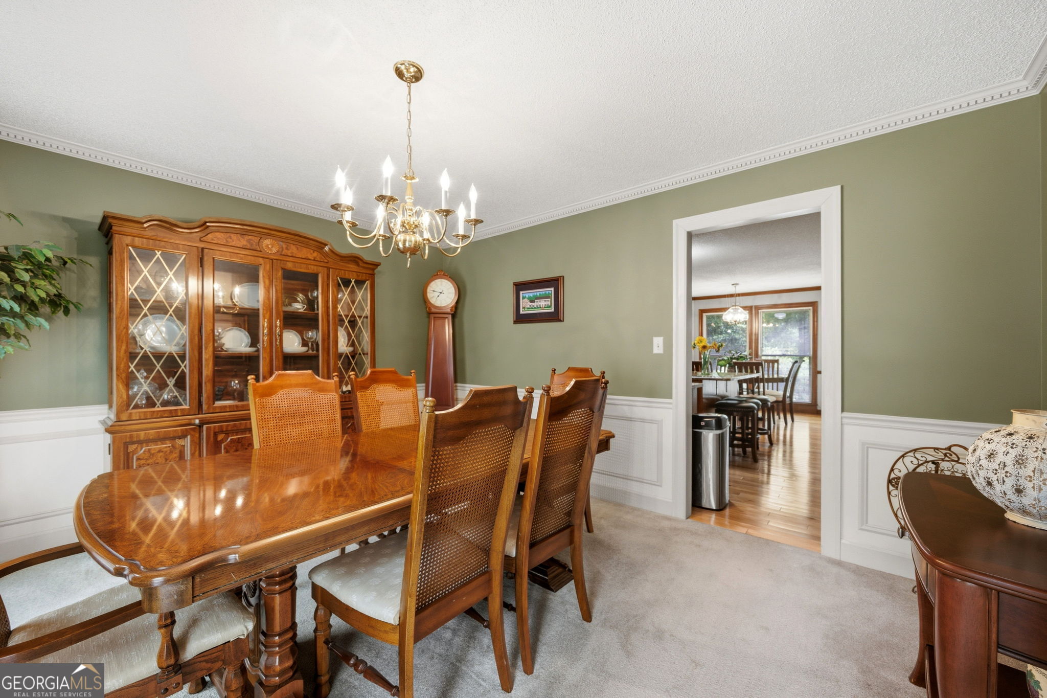 6233 Ga Highway 87 Property Photo 12