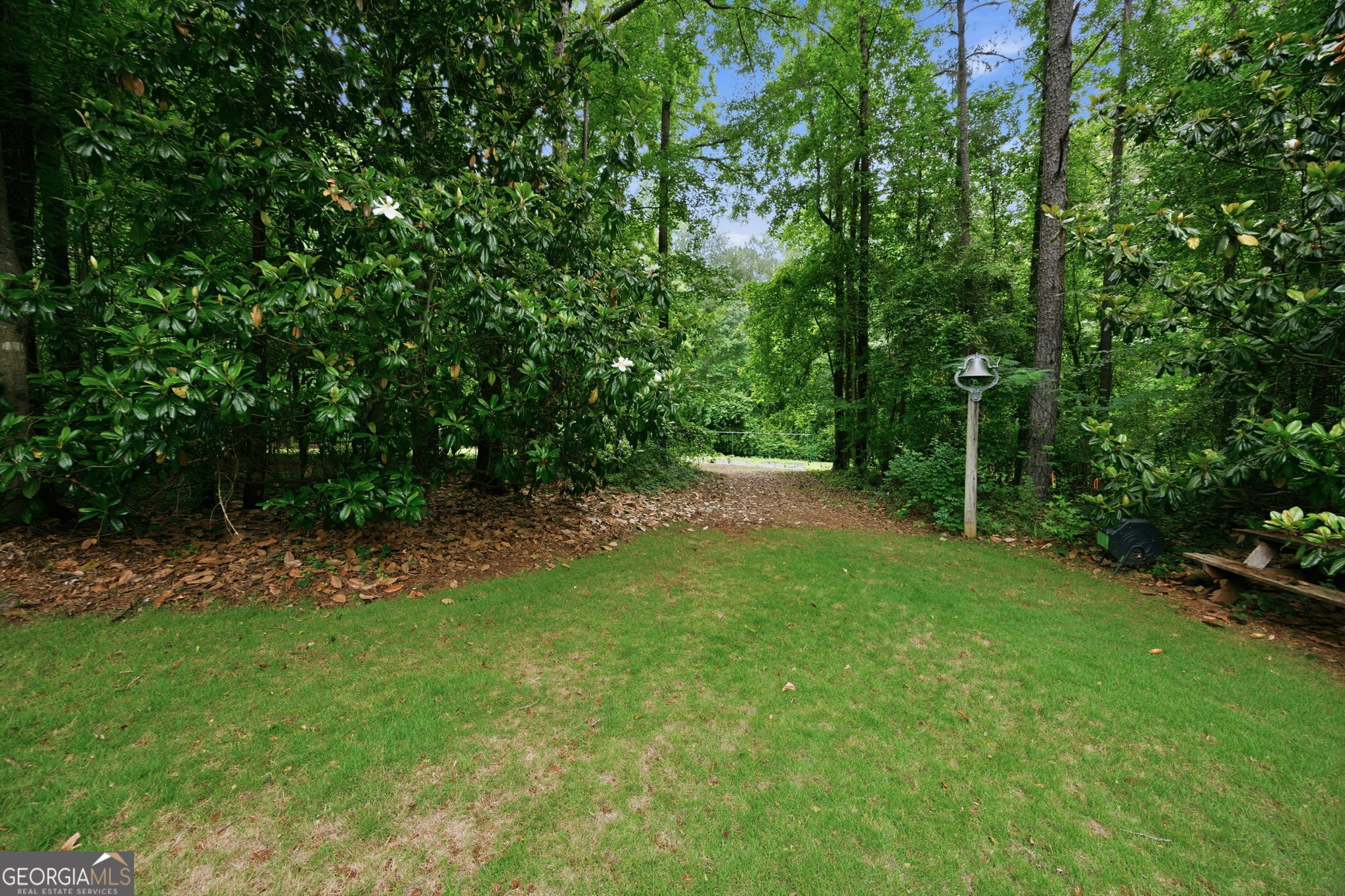 6233 Ga Highway 87 Property Photo 31