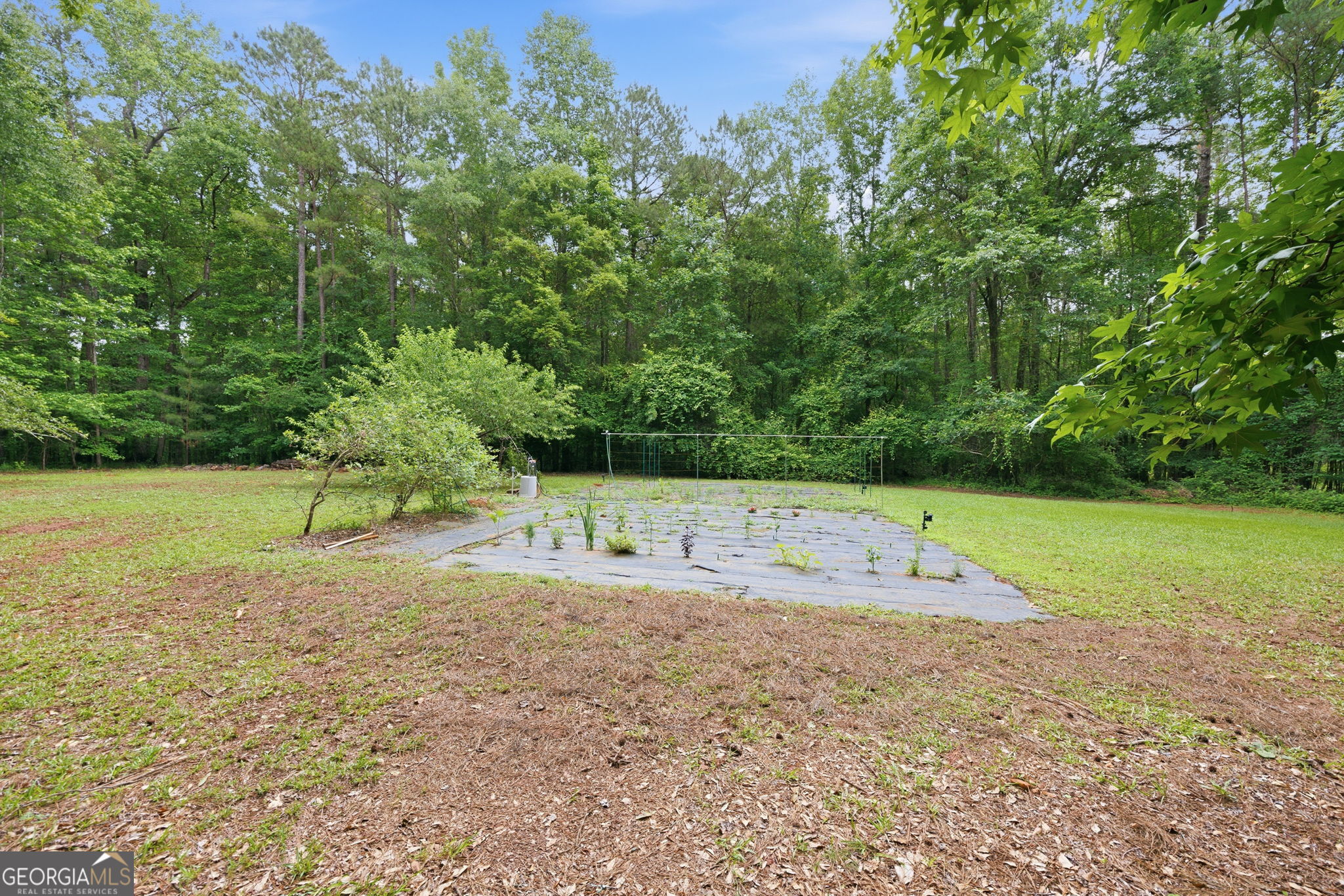 6233 Ga Highway 87 Property Photo 32