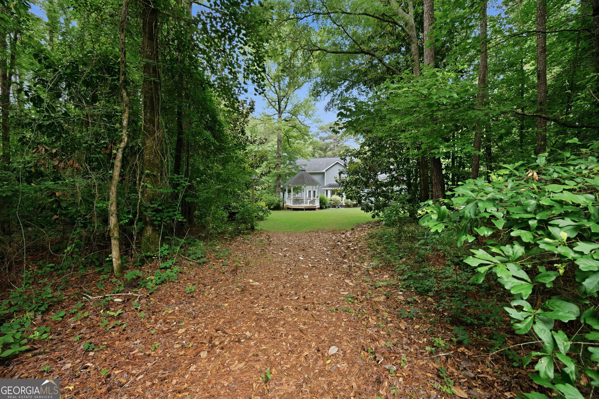 6233 Ga Highway 87 Property Photo 33