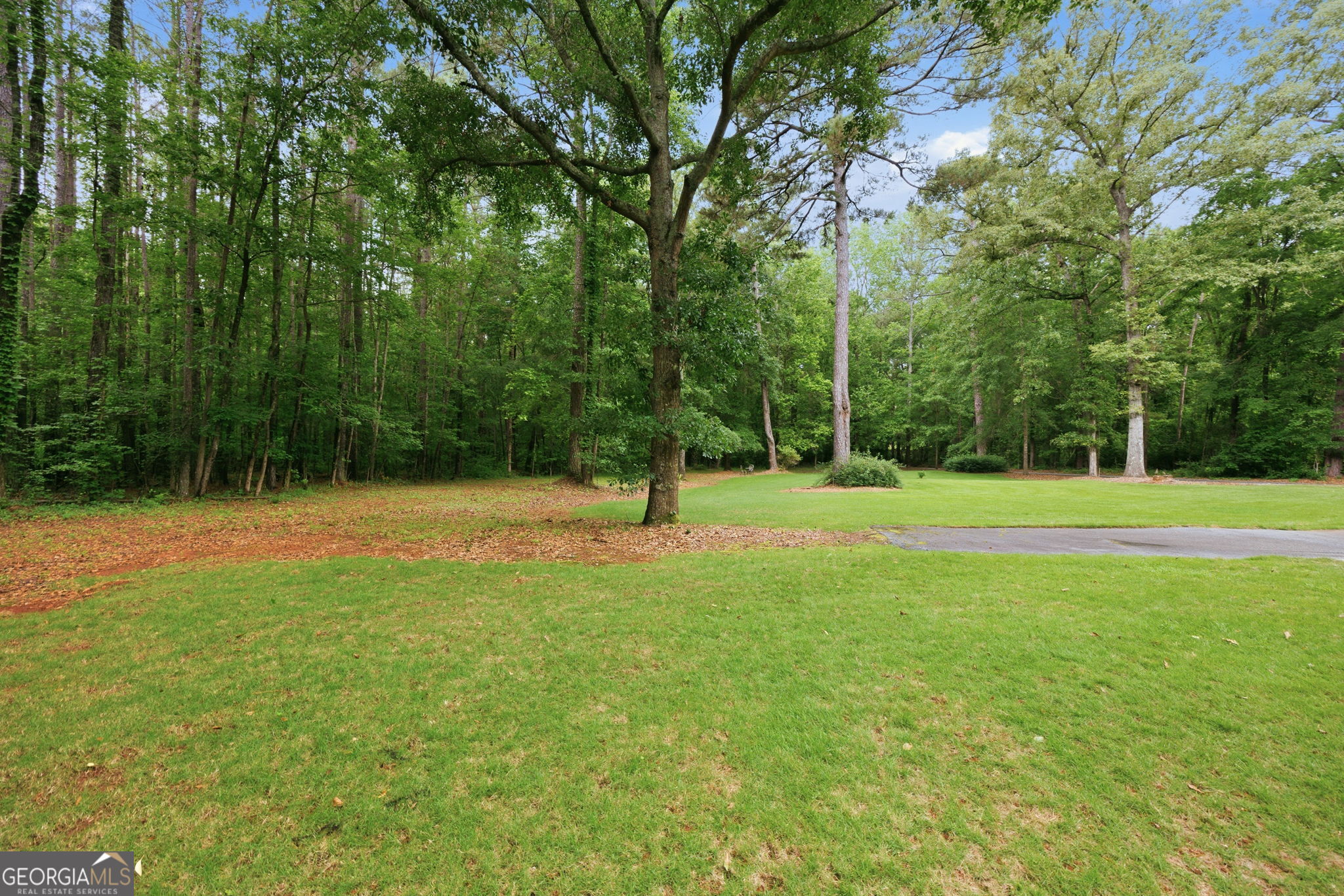 6233 Ga Highway 87 Property Photo 34