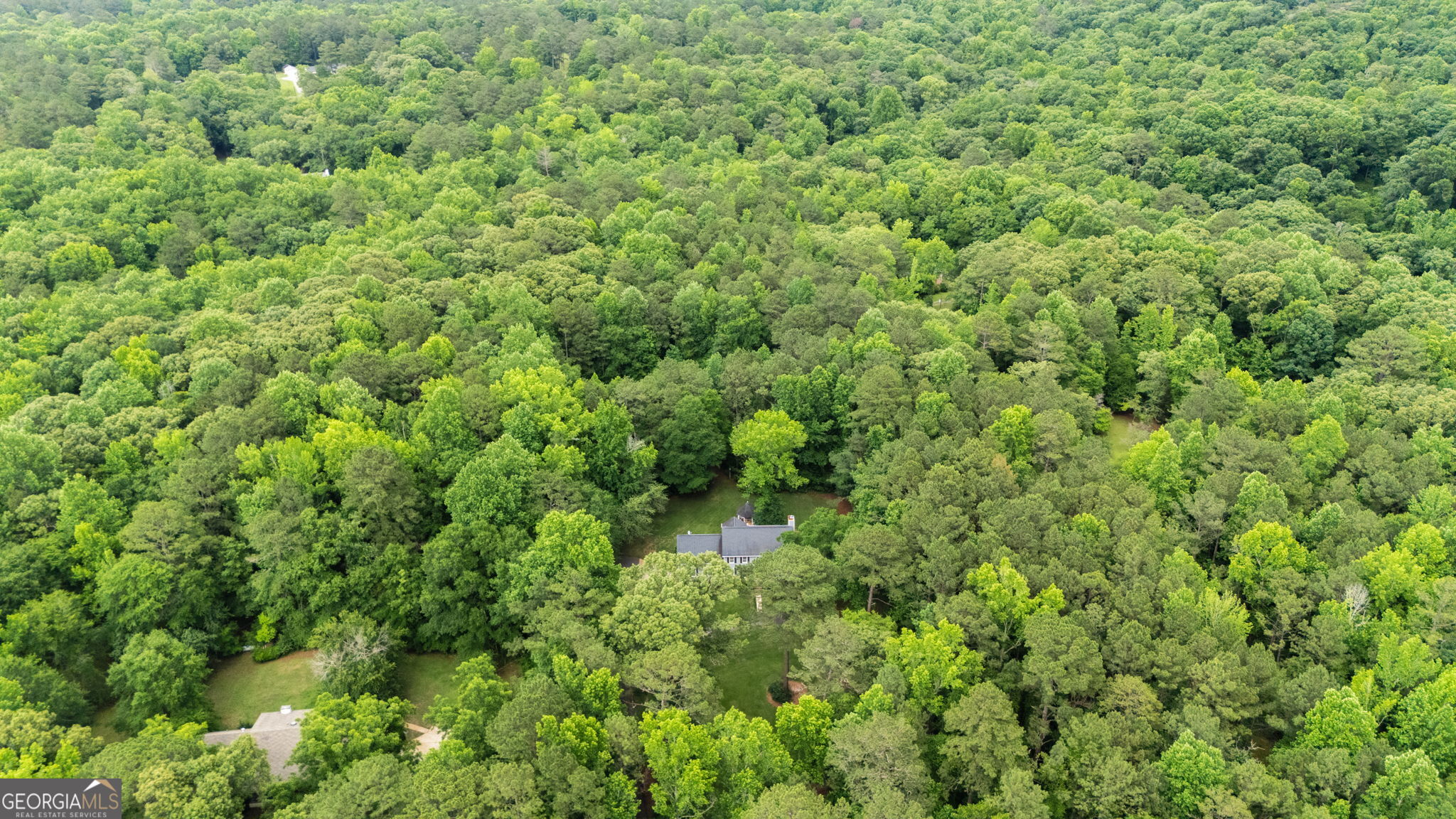 6233 Ga Highway 87 Property Photo 36