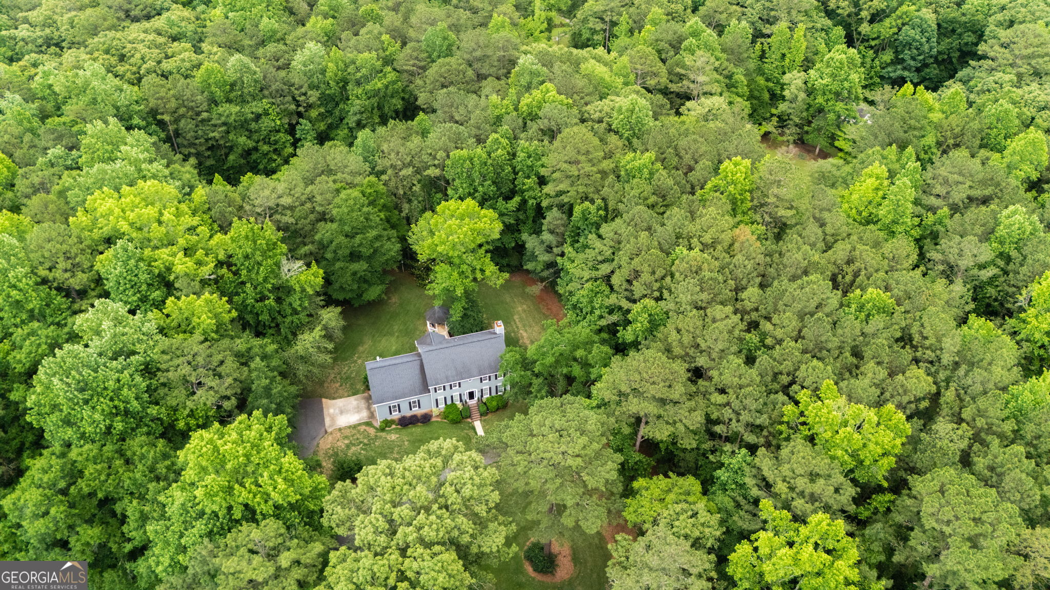 6233 Ga Highway 87 Property Photo 37