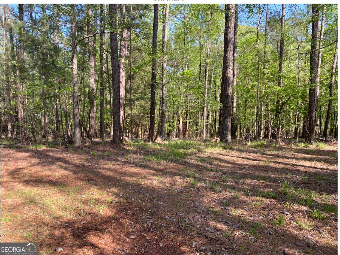 1021 Charles Court Property Photo 1