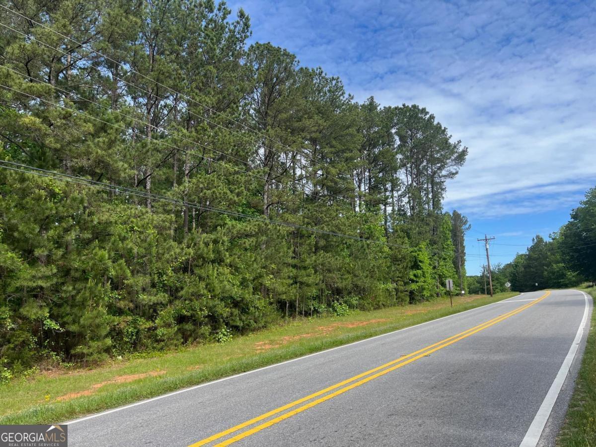 3.5 +/- Acres New Phoenix Road Property Photo 2