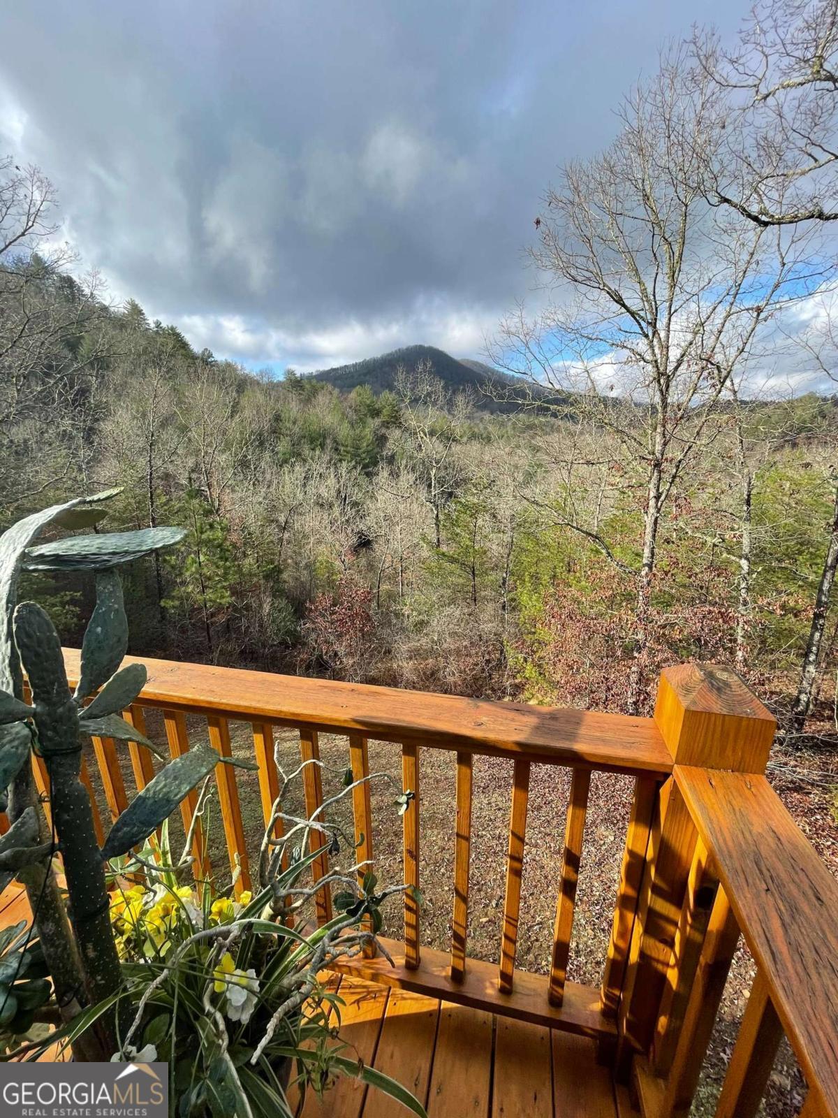 85 Flat Top Trail # 64 Property Photo 21