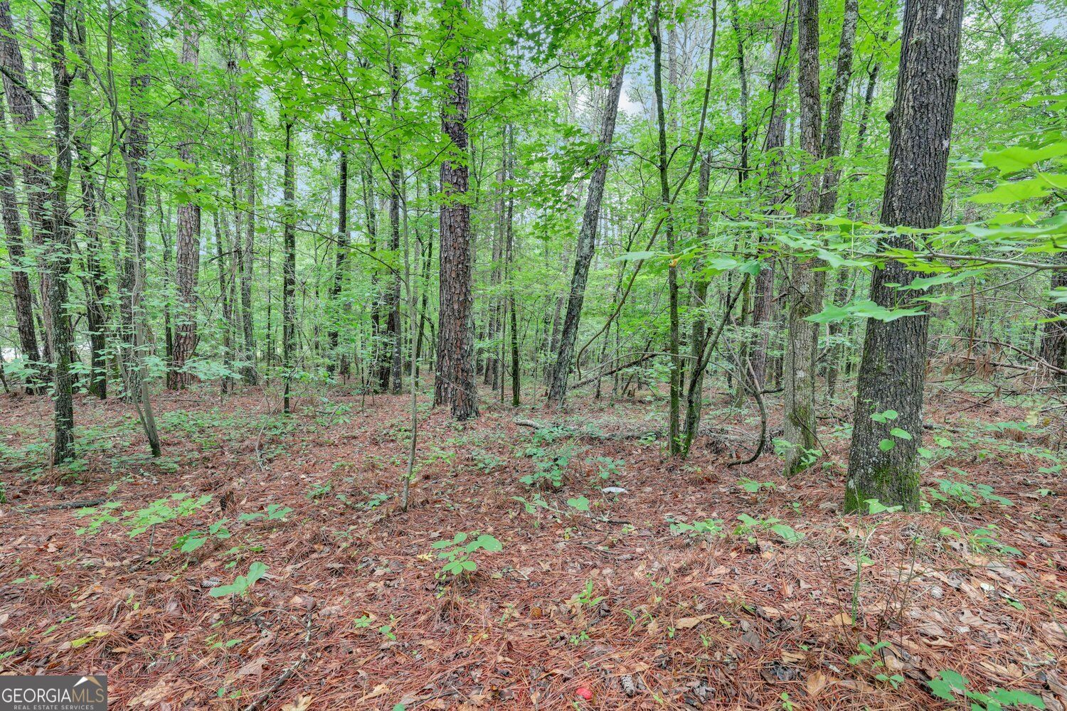 0 Se Christian Circle Property Photo 20