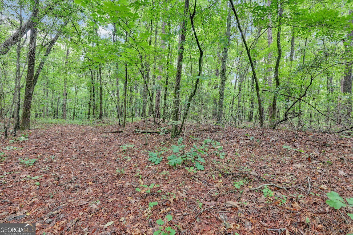 0 Se Christian Circle Property Photo 21