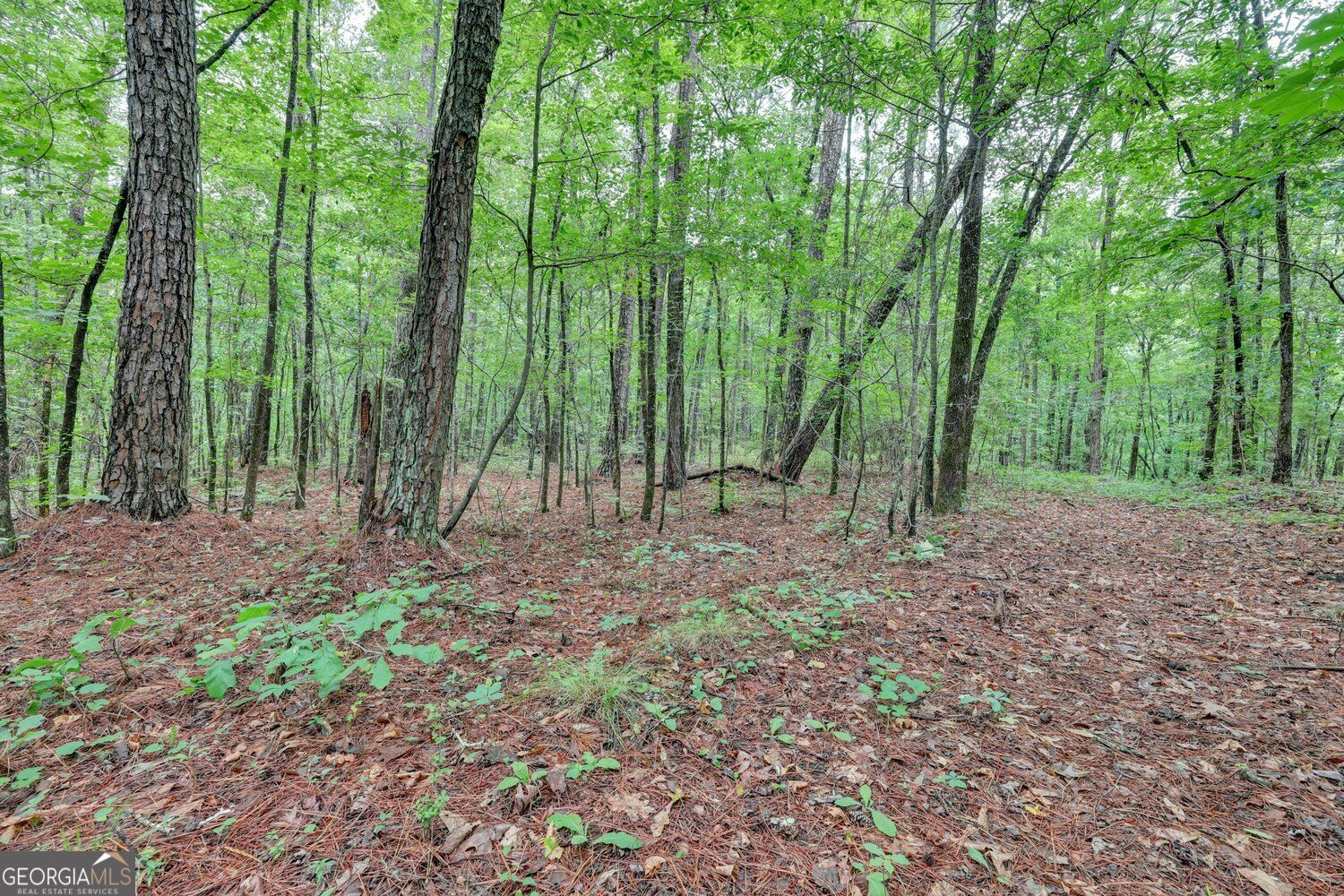 0 Se Christian Circle Property Photo 22