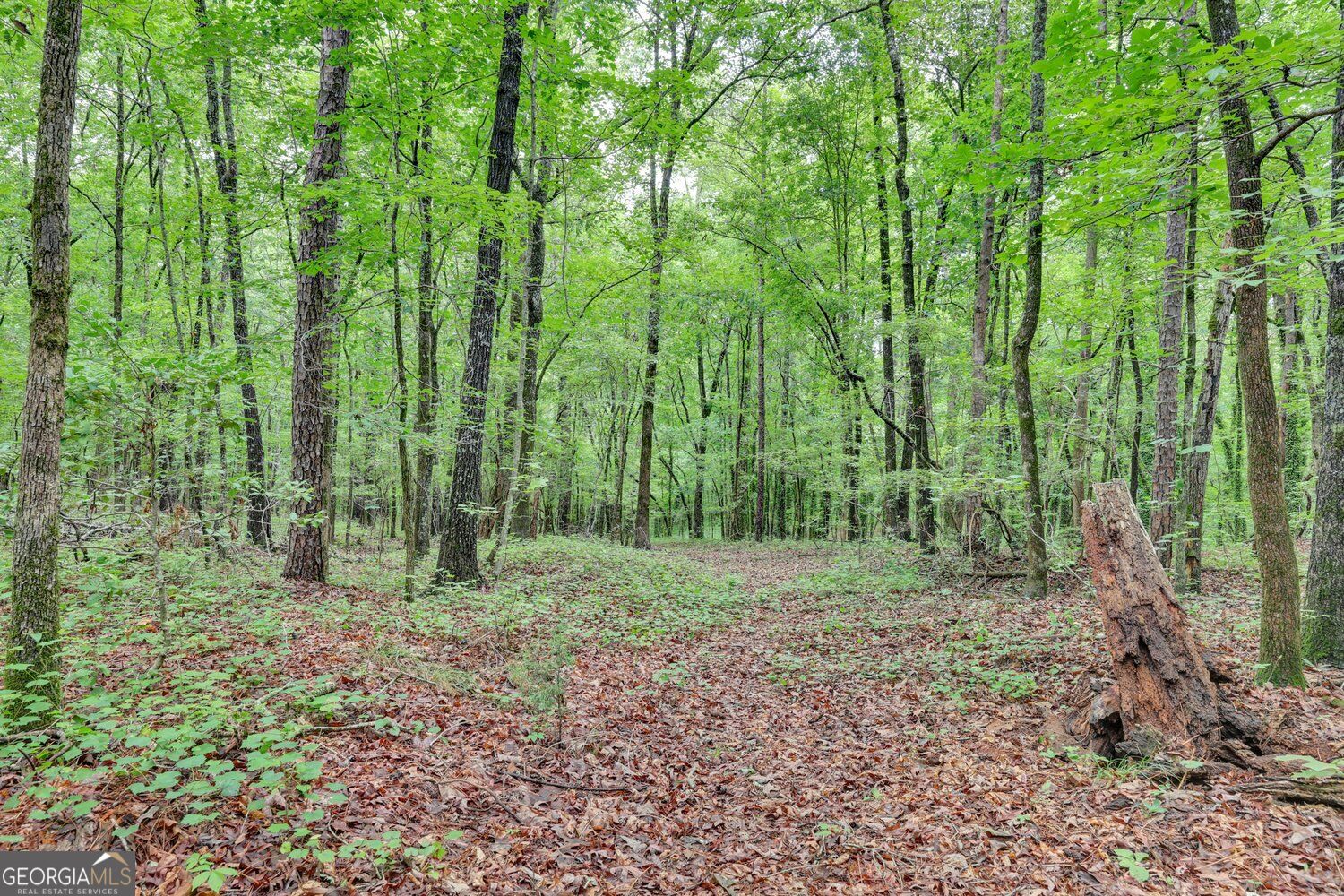 0 Se Christian Circle Property Photo 23