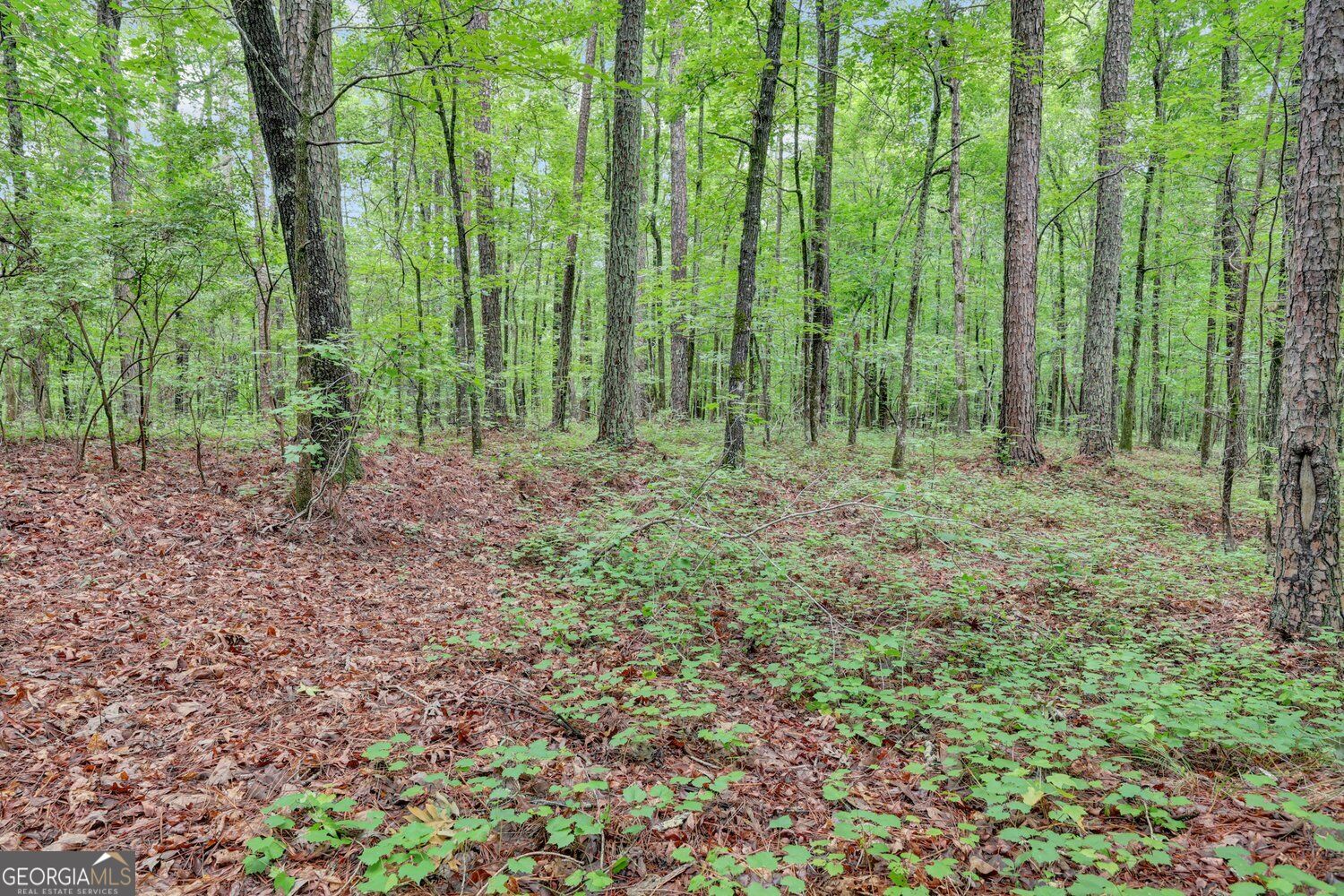 0 Se Christian Circle Property Photo 24