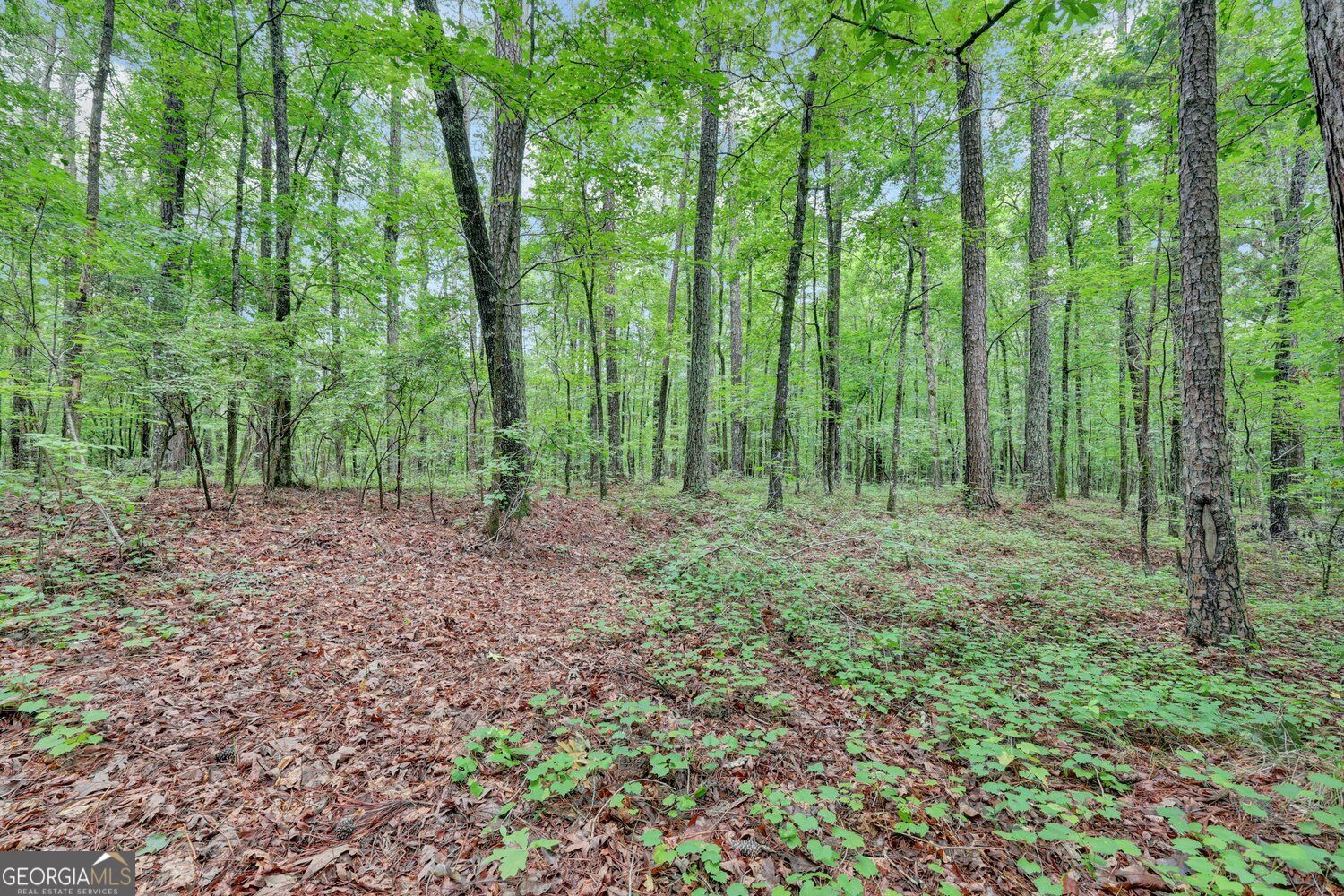 0 Se Christian Circle Property Photo 25
