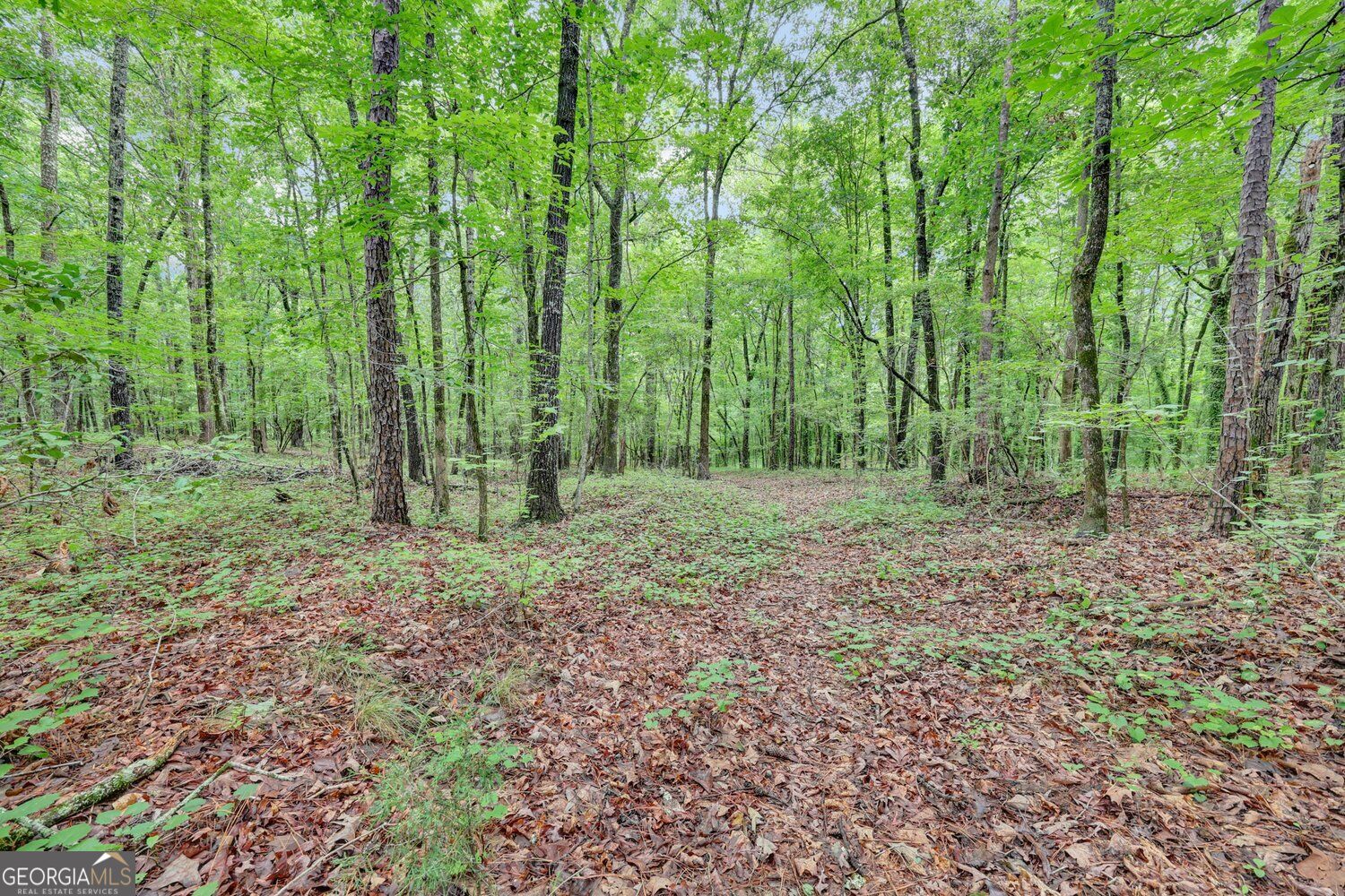 0 Se Christian Circle Property Photo 26