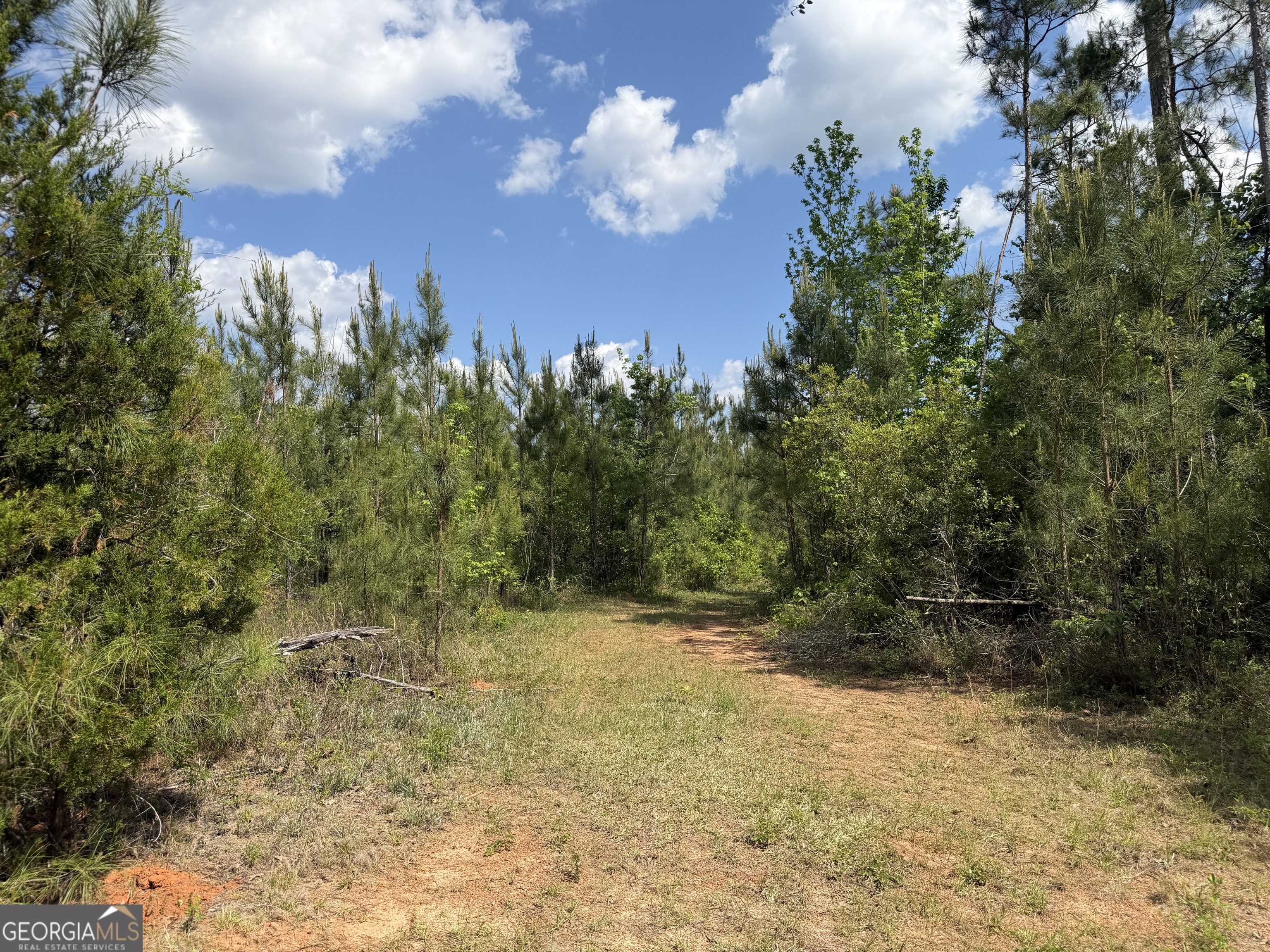 001 George Milling Road Property Photo 1