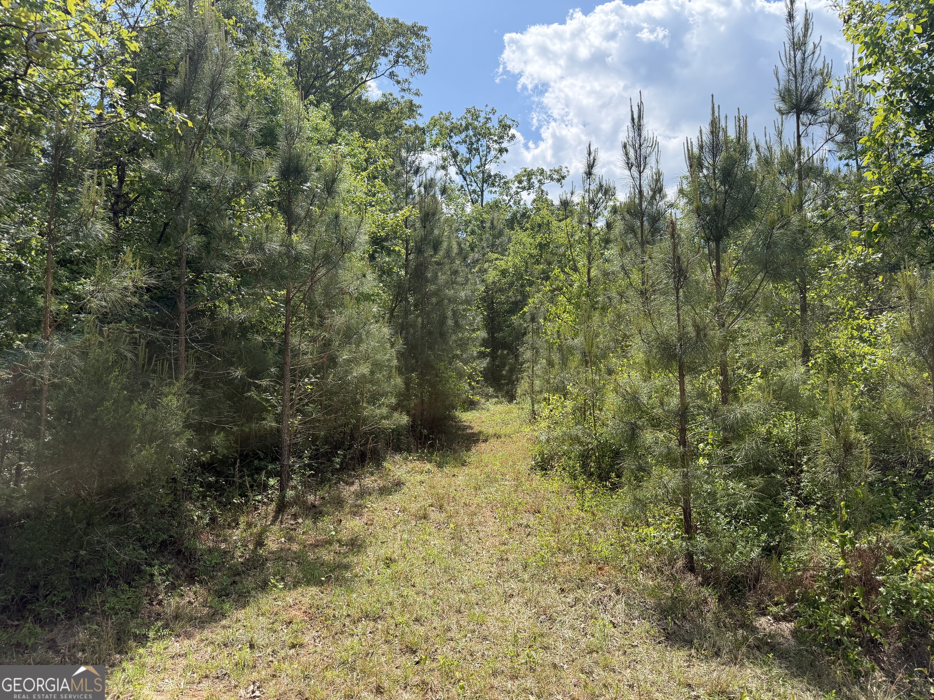 001 George Milling Road Property Photo 2