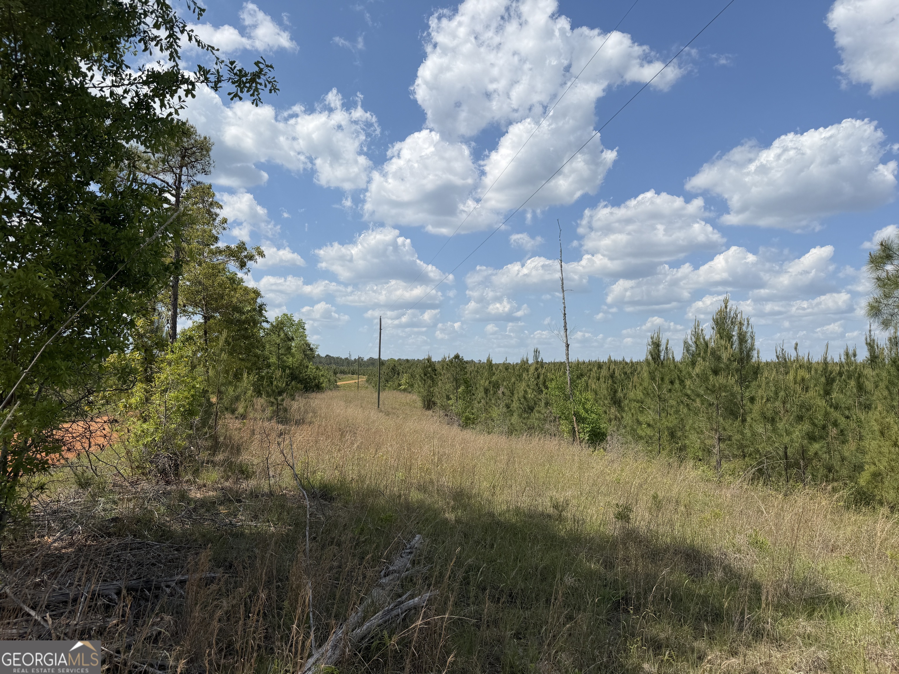 001 George Milling Road Property Photo 6
